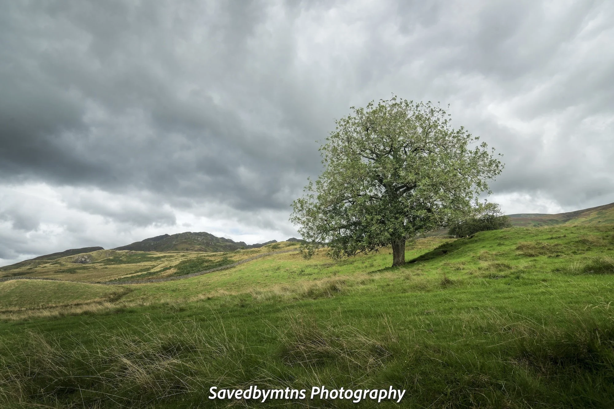 BRACING FOR STORM, SCOTLAND