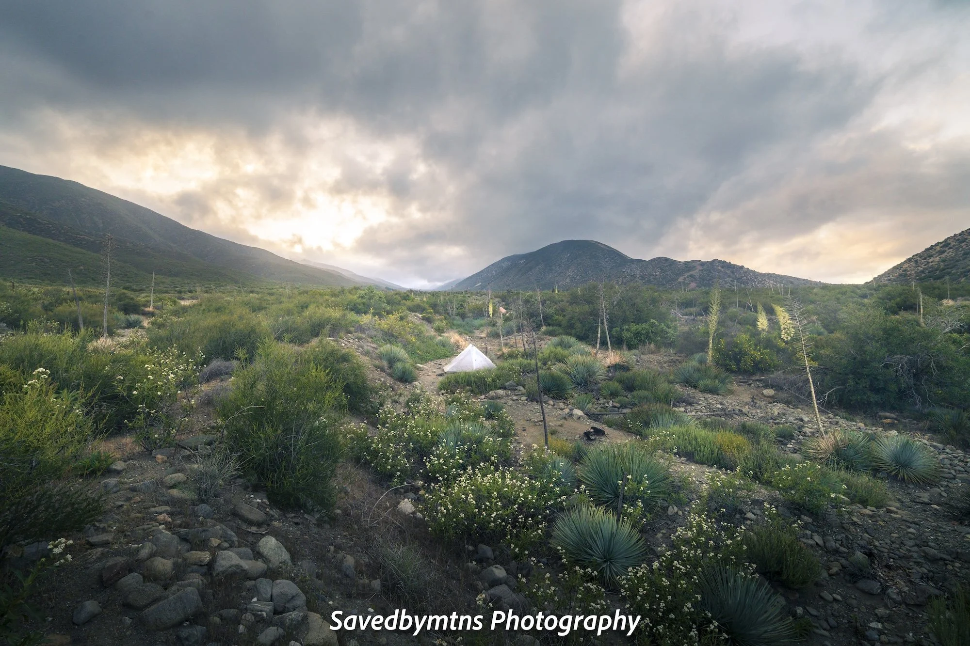 UNFORGIVING DESERT, CALIFORNIA