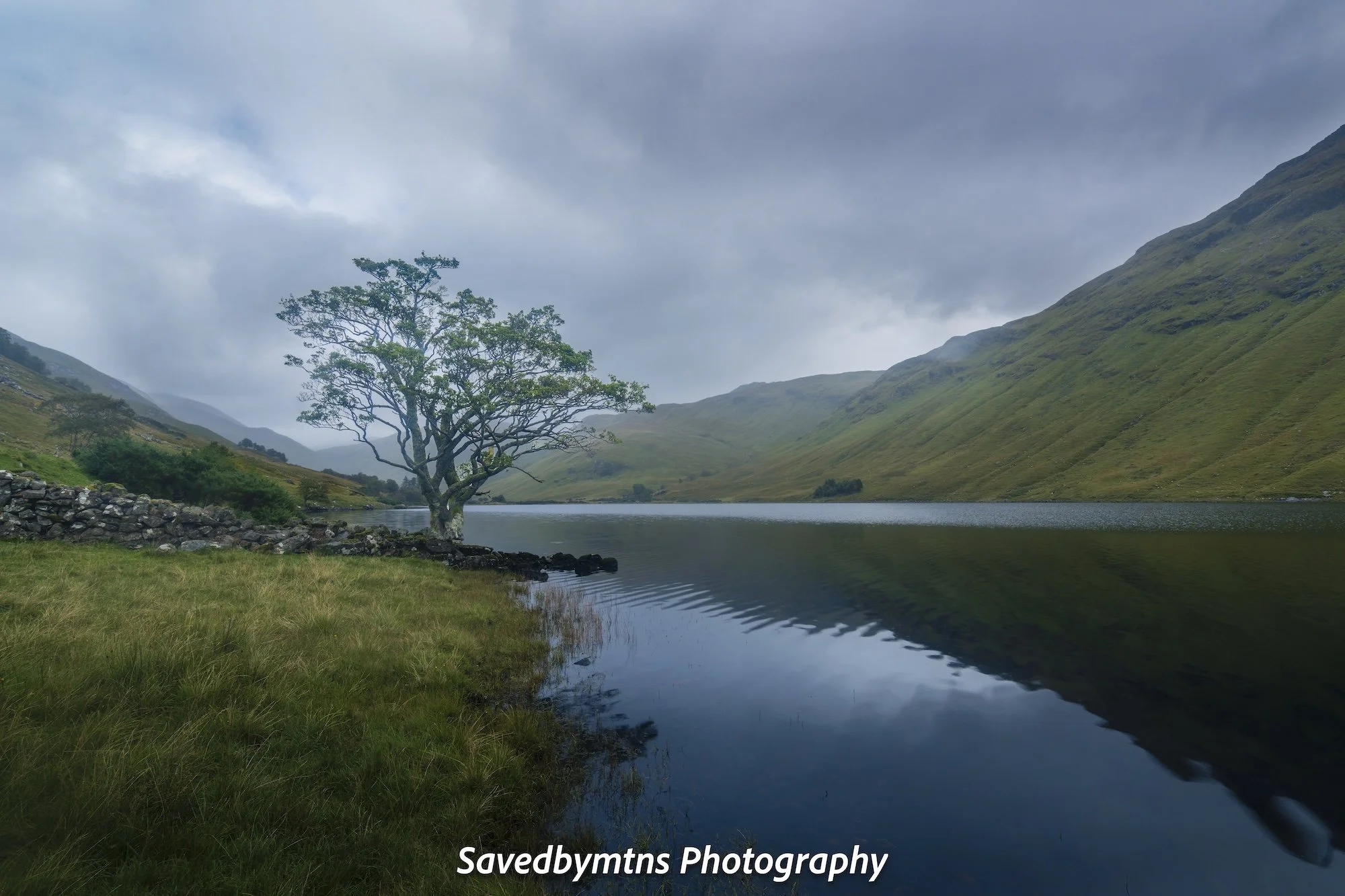 MOODY, SCOTLAND