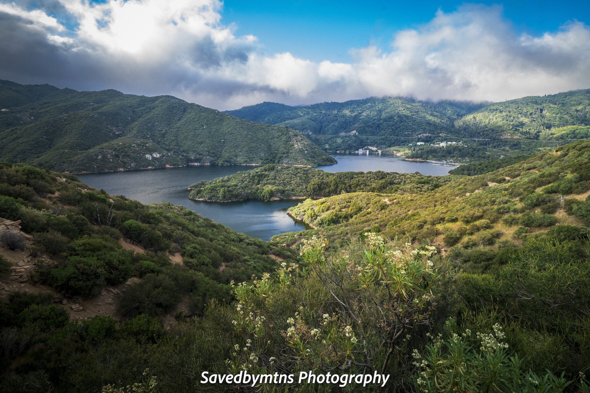WELCOMING SIGHT, CALIFORNIA