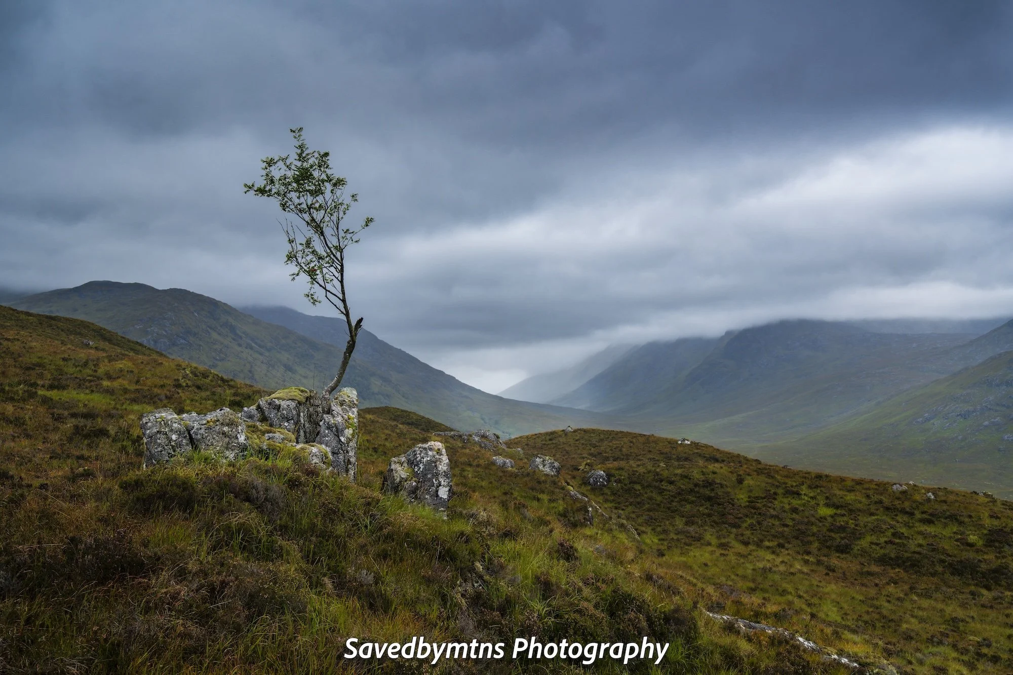 GROW, SCOTLAND