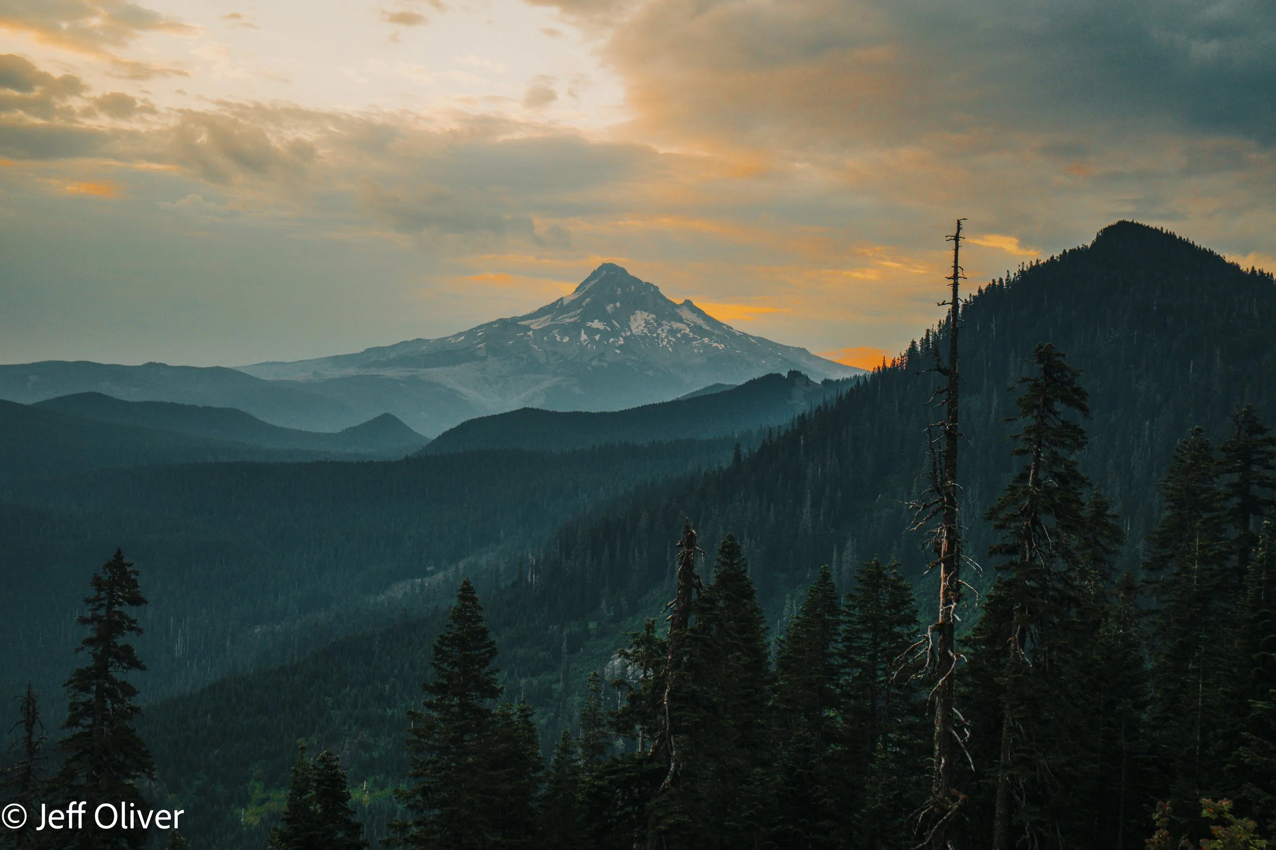 A7408000.jpg