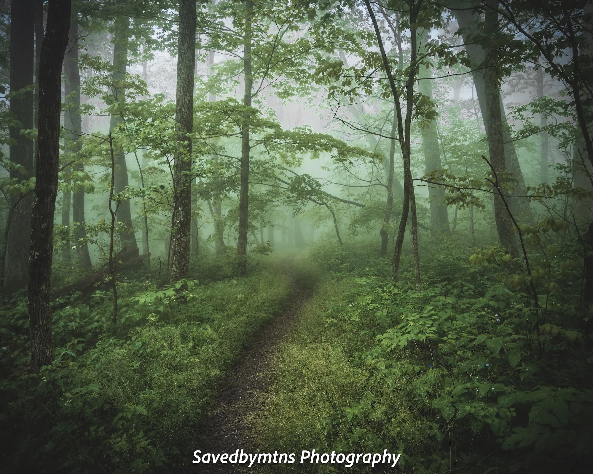 APPALACHIA, GEORGIA