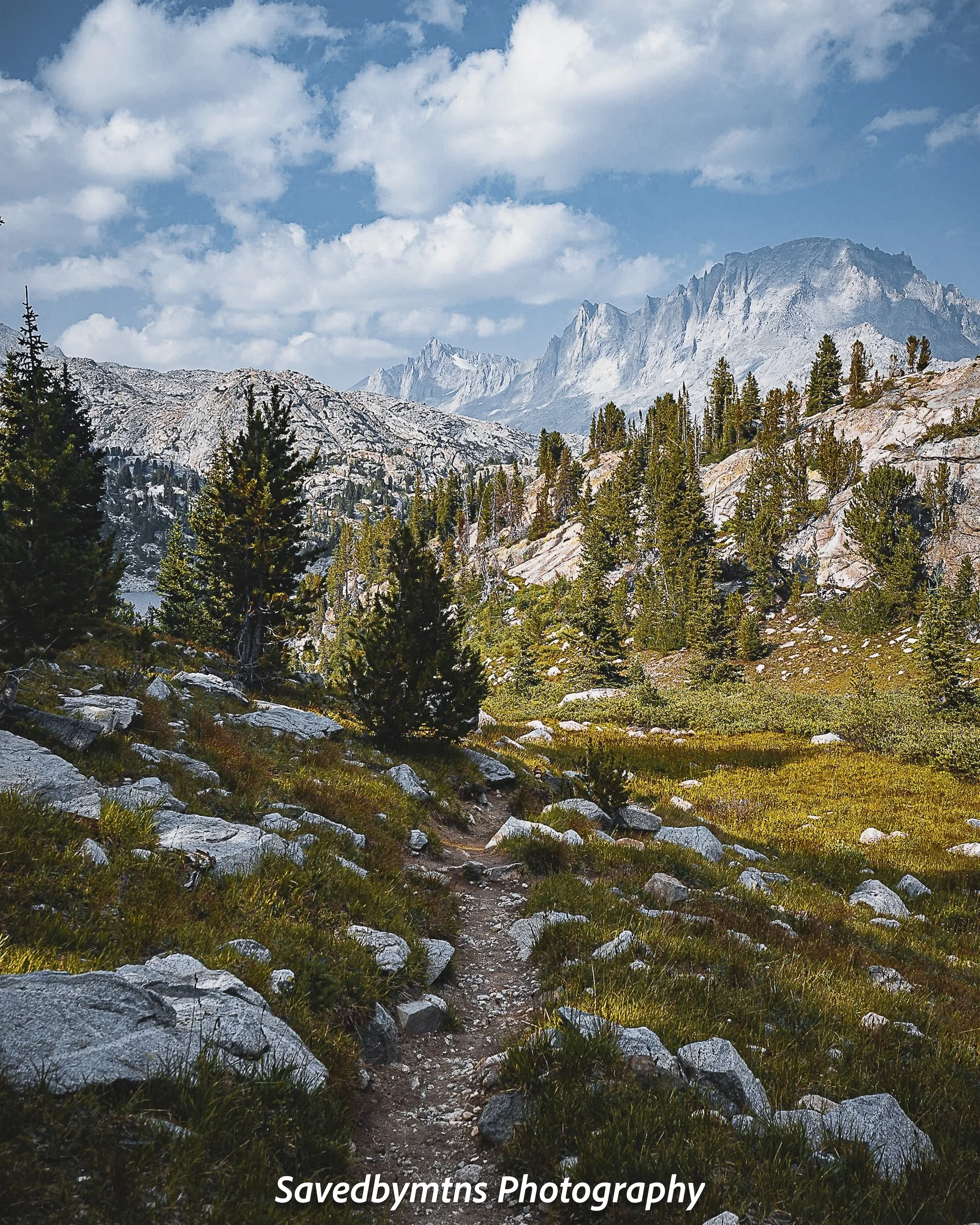 MOUNTAIN DREAMING, WYOMING