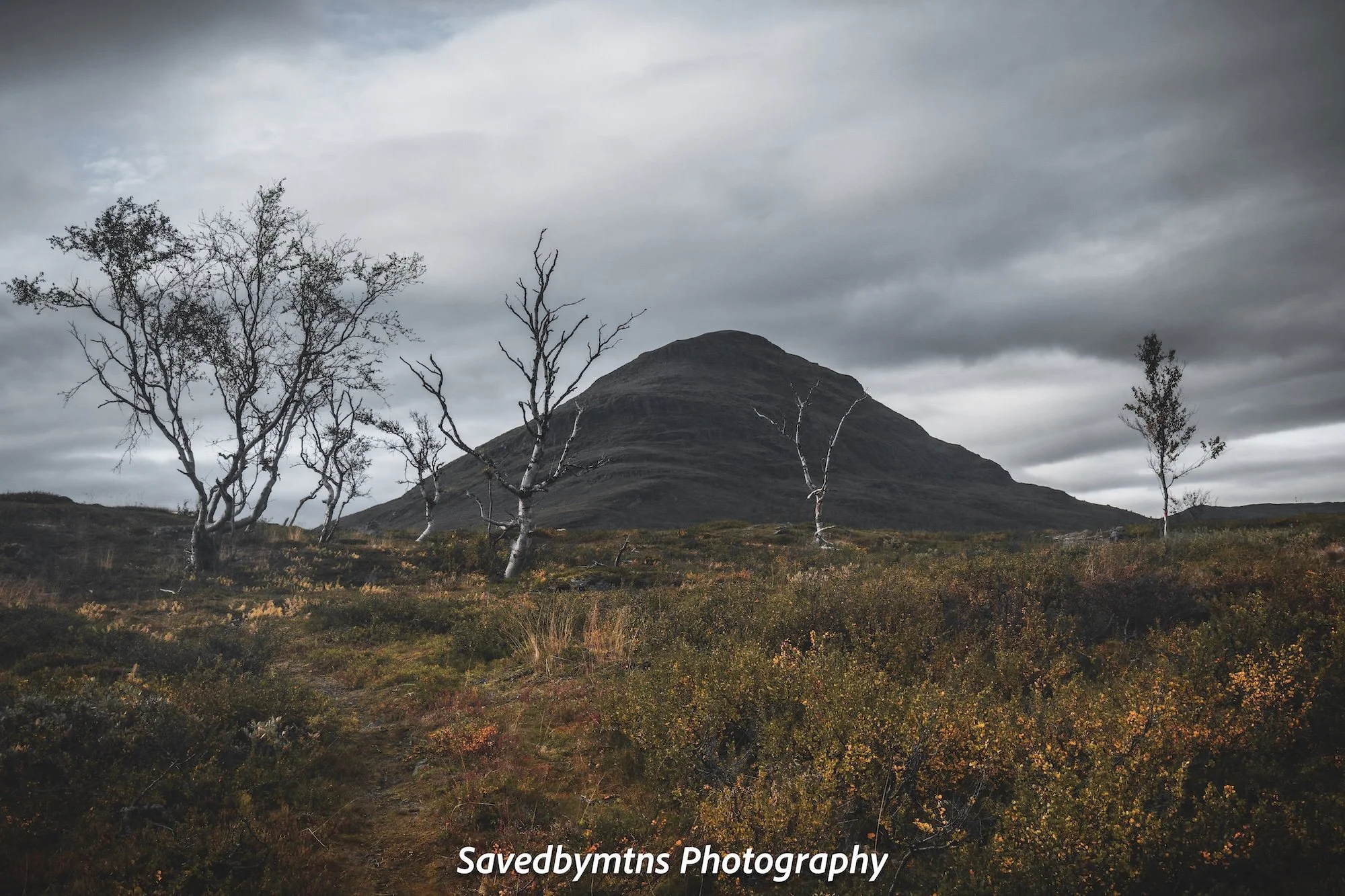 RUGGED, SWEDEN