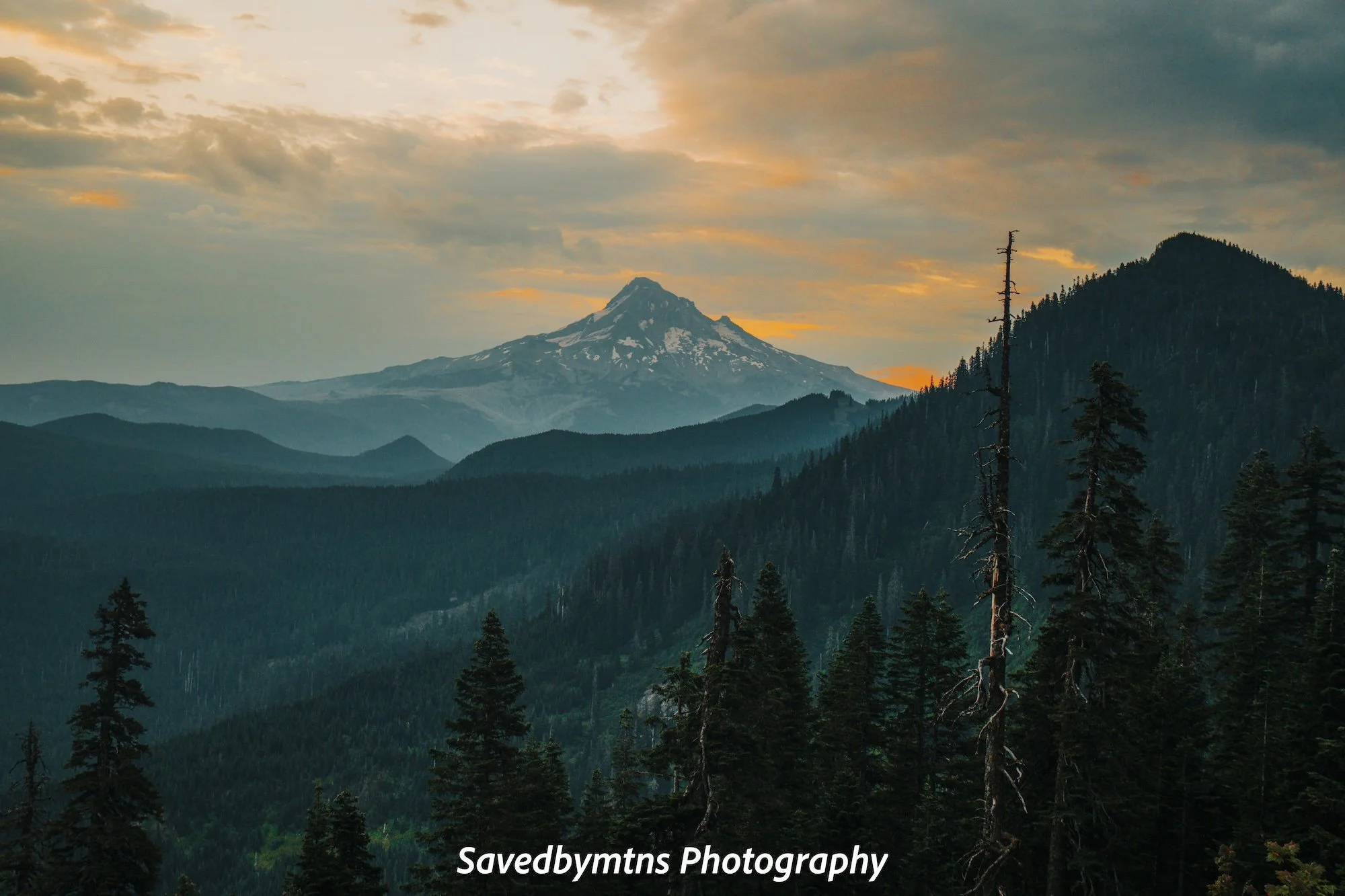 LAYERS, WASHINGTON