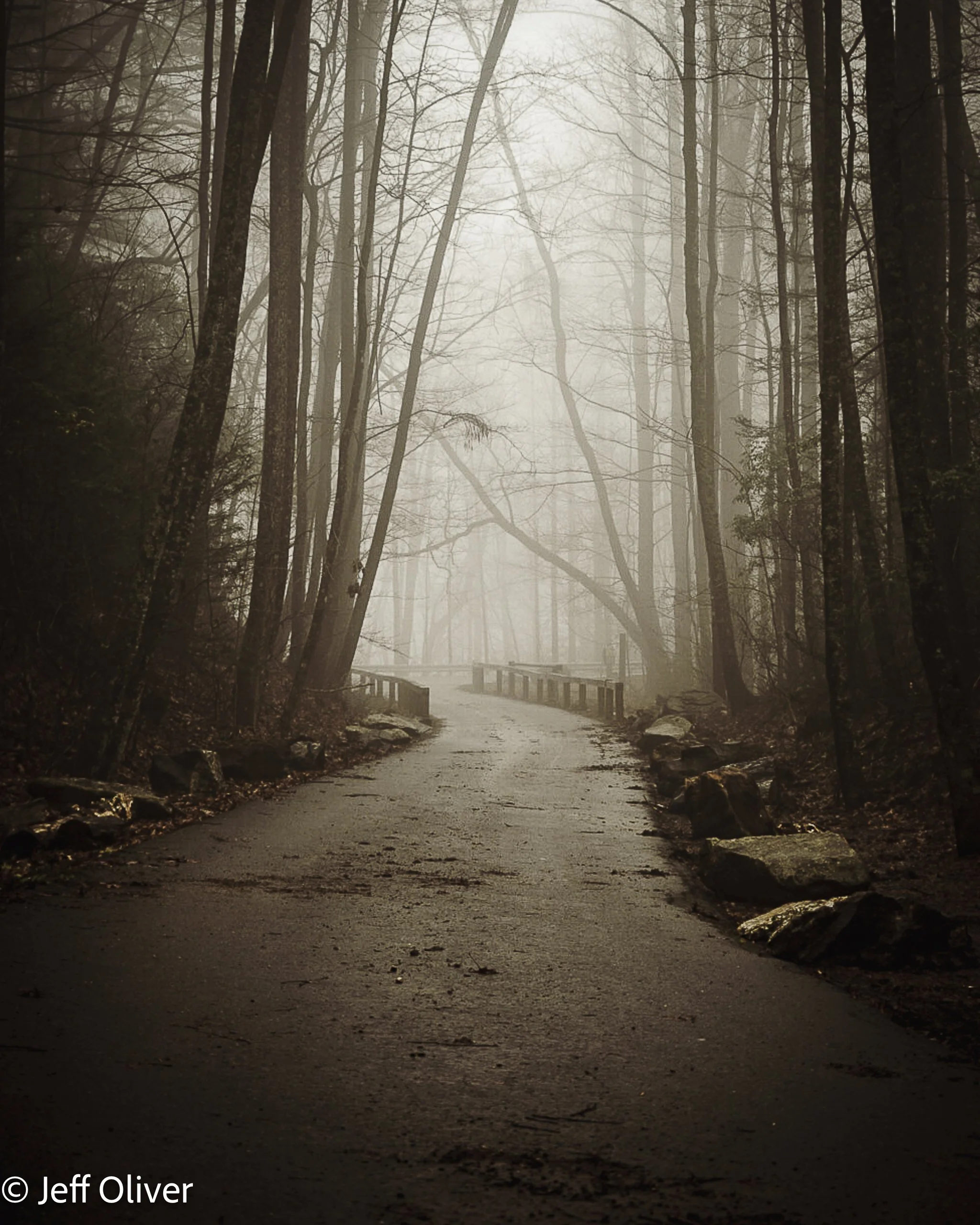 THROUGH THE FOG.jpg