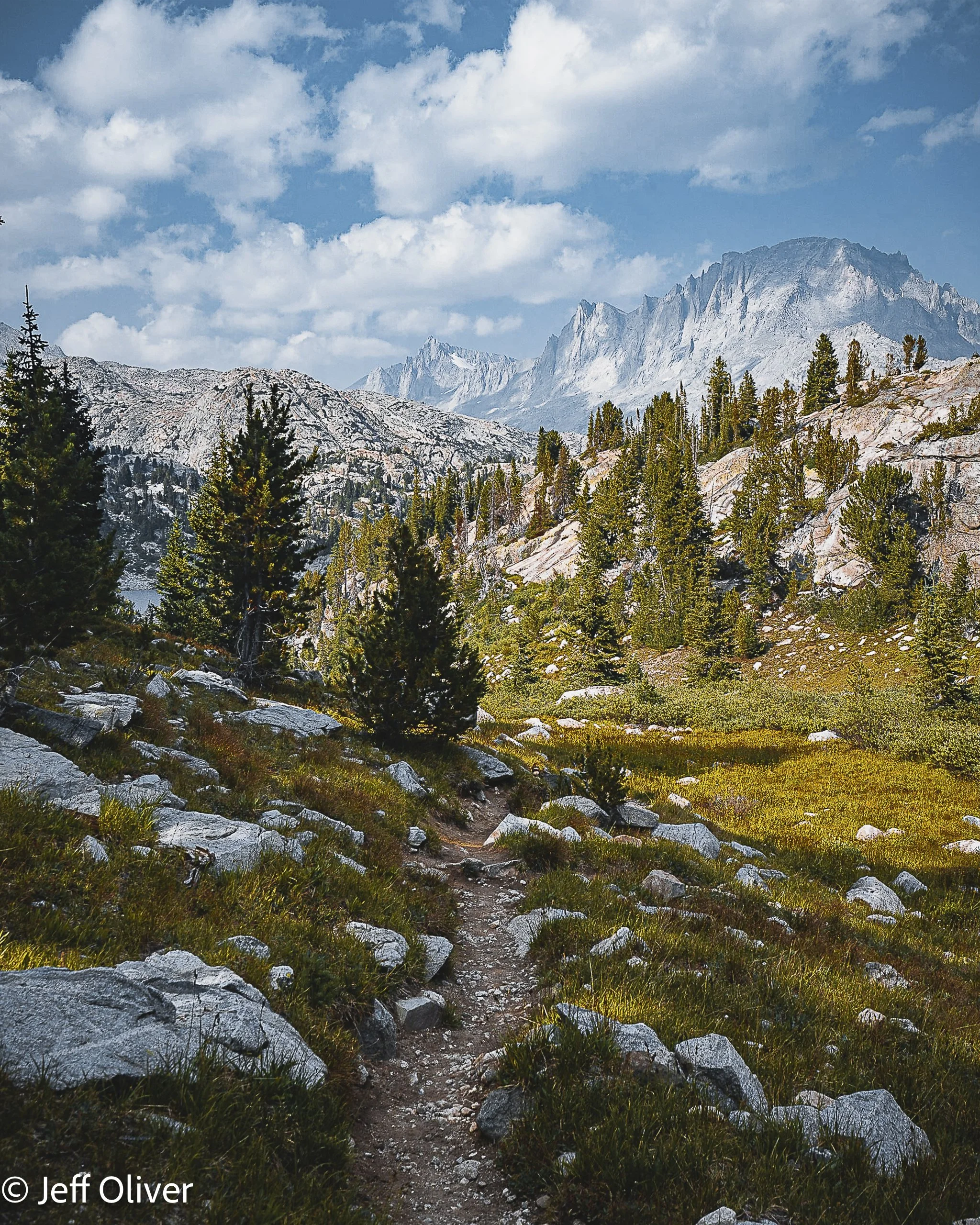 MOUNTAIN DREAMING.jpg