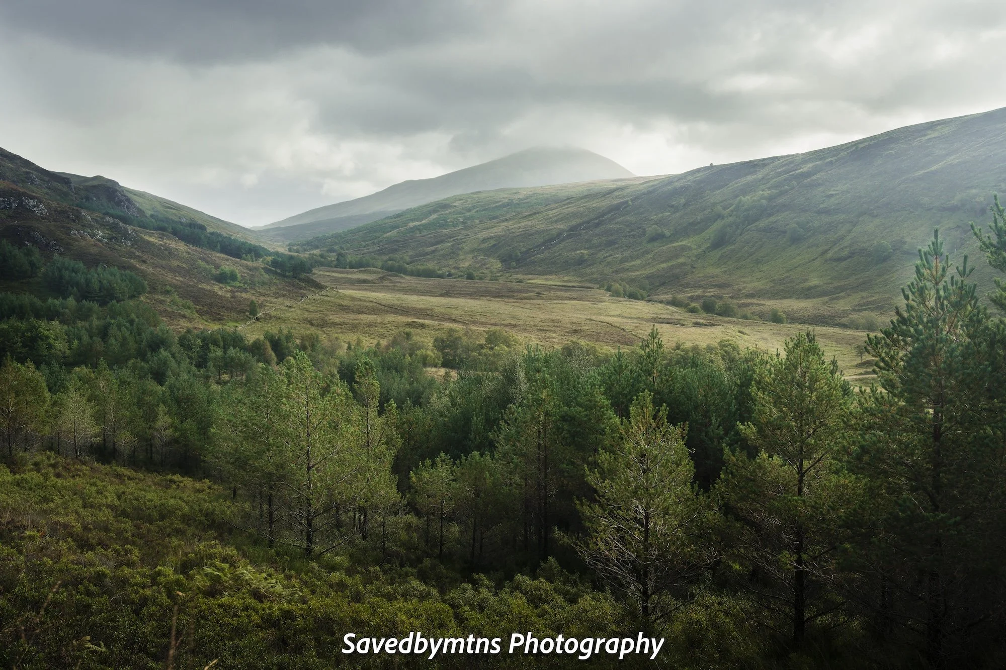 THE GLEN, SCOTLAND