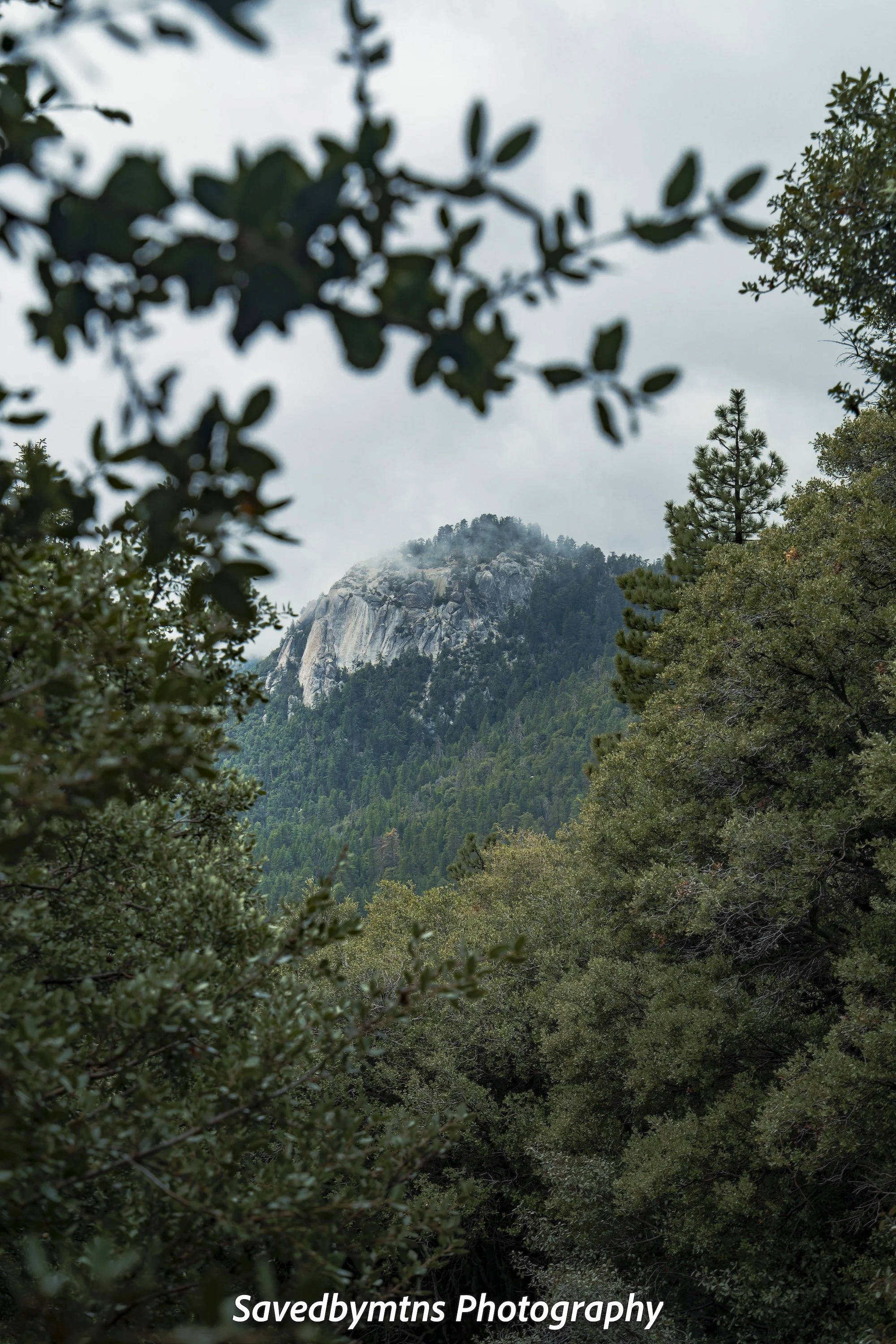 NATURE'S FRAME, CALIFORNIA