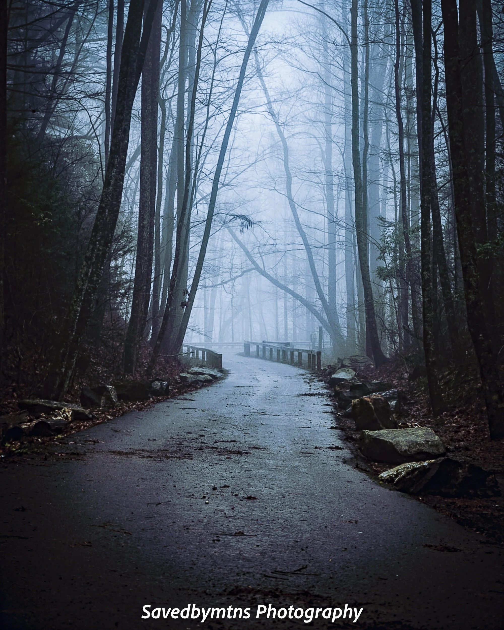 INTO THE FOG, GEORGIA