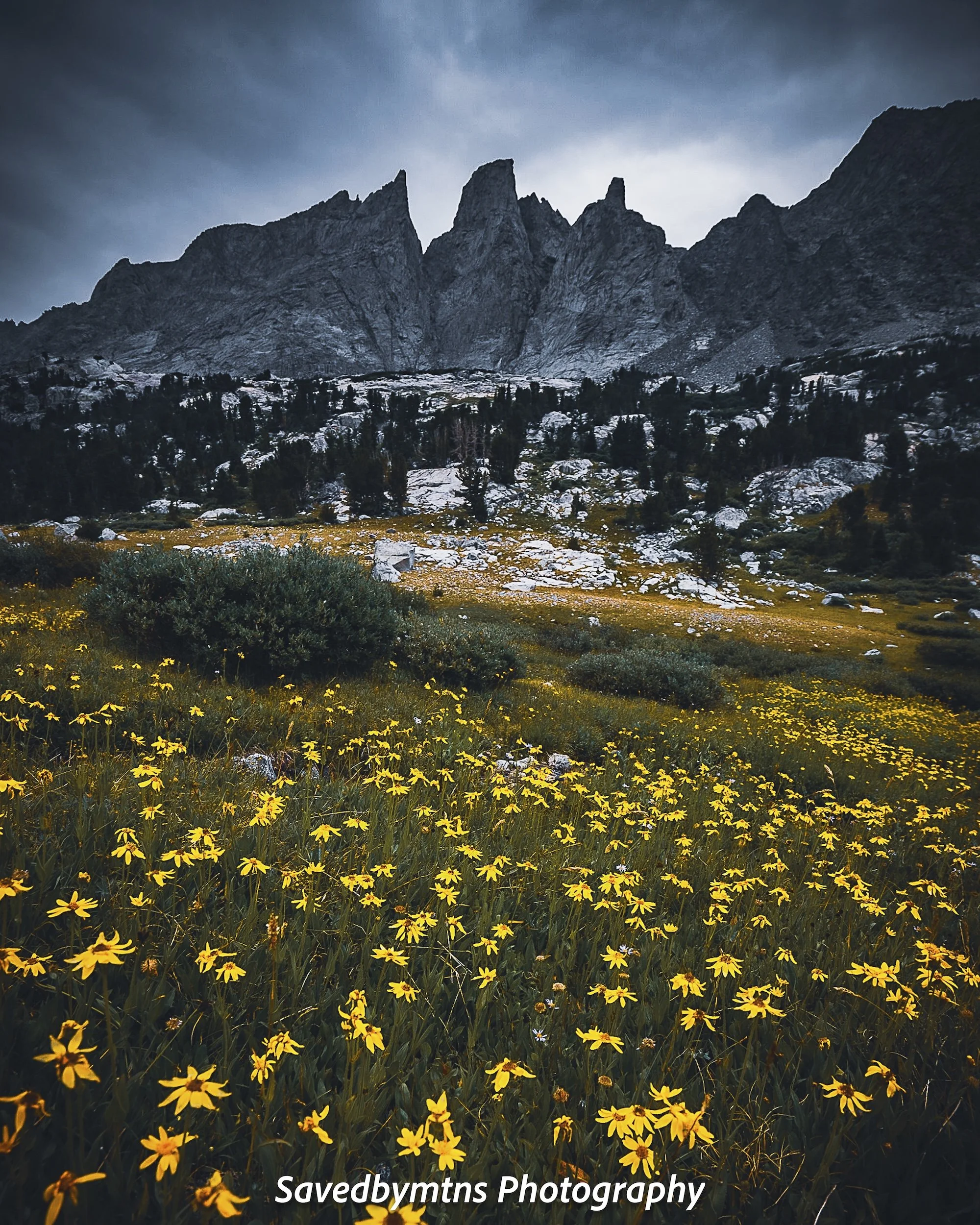 TOWERS, WYOMING