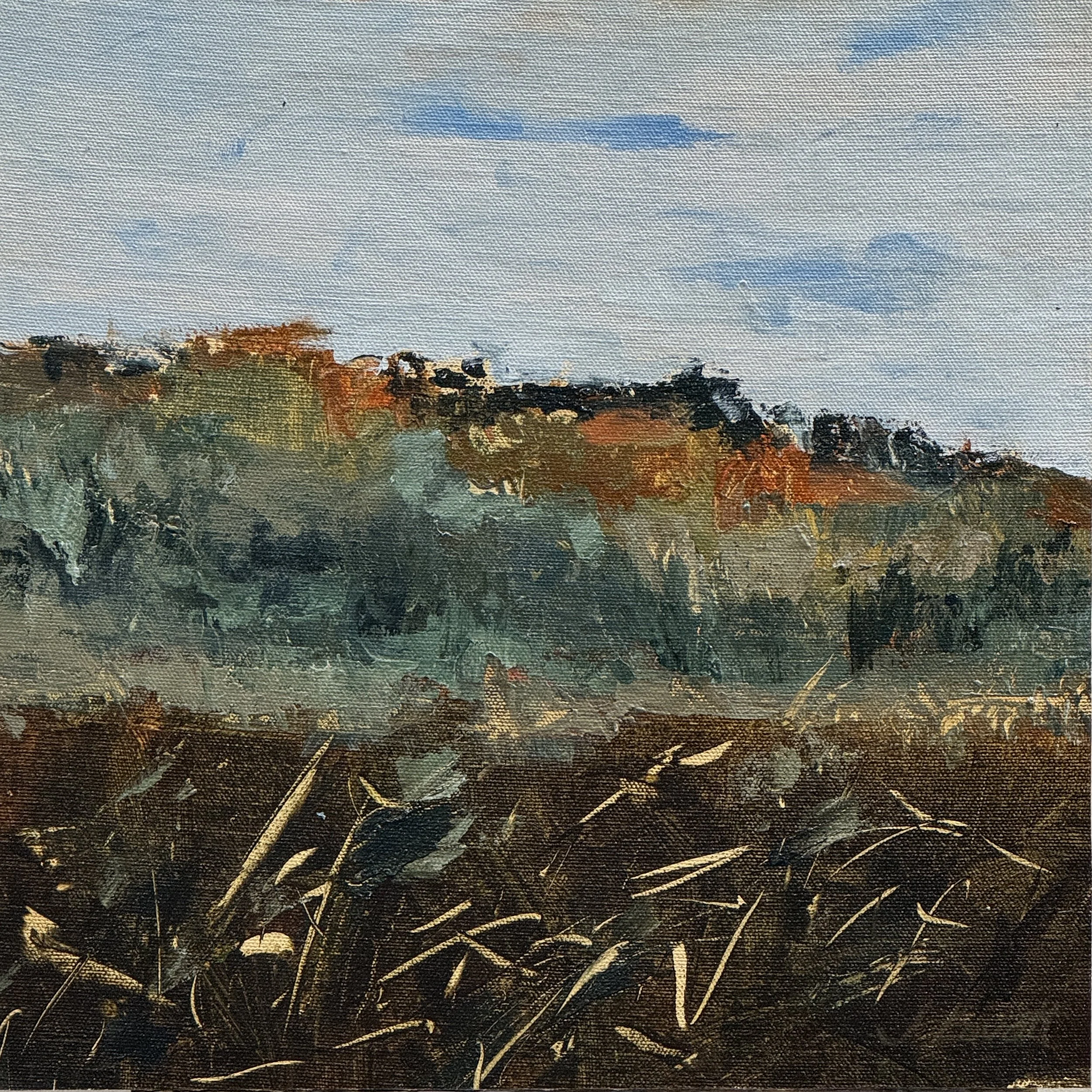 Land Series, Acrylic, 12" x 12"