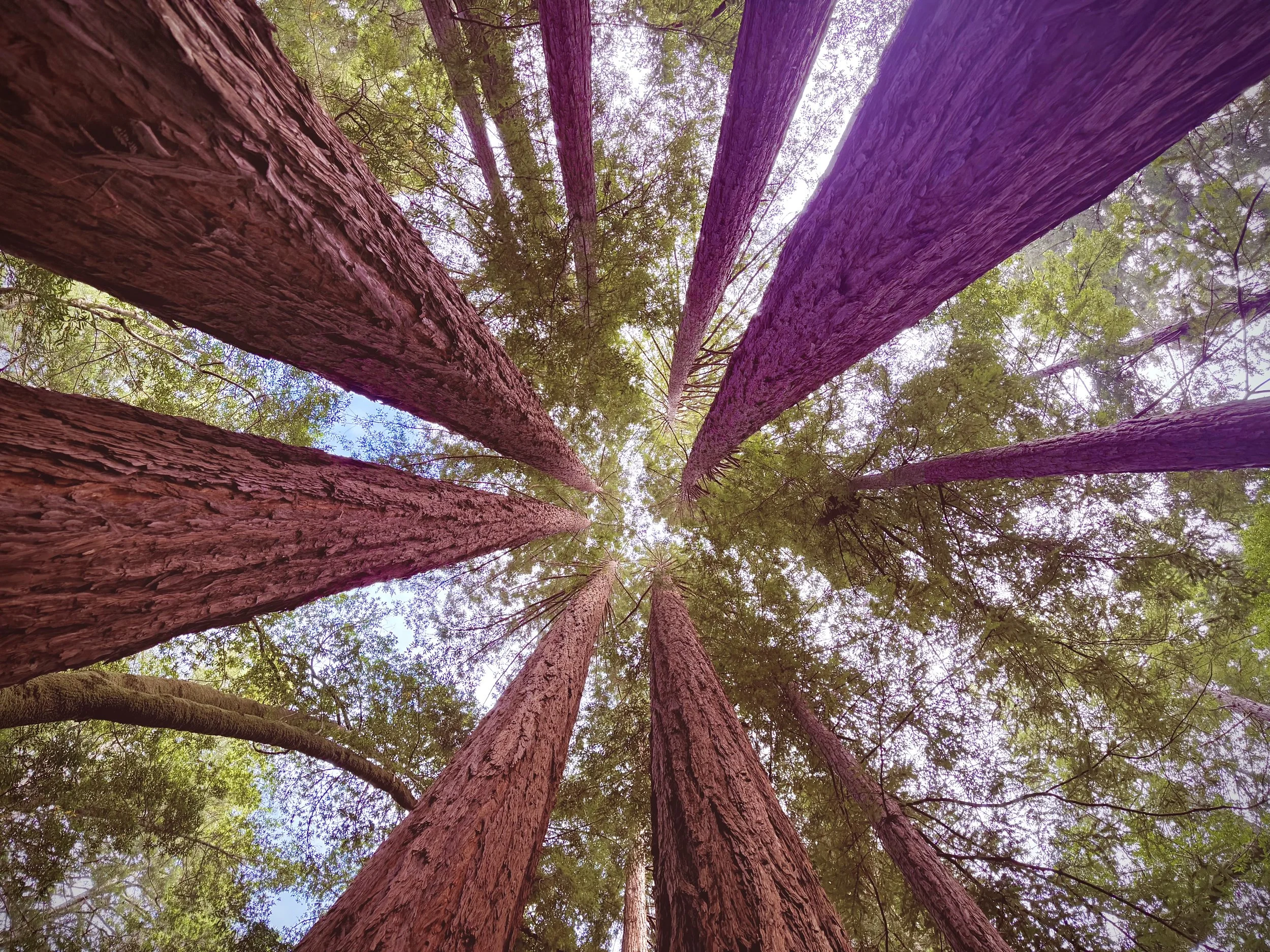Elderhood: Completing the Circle