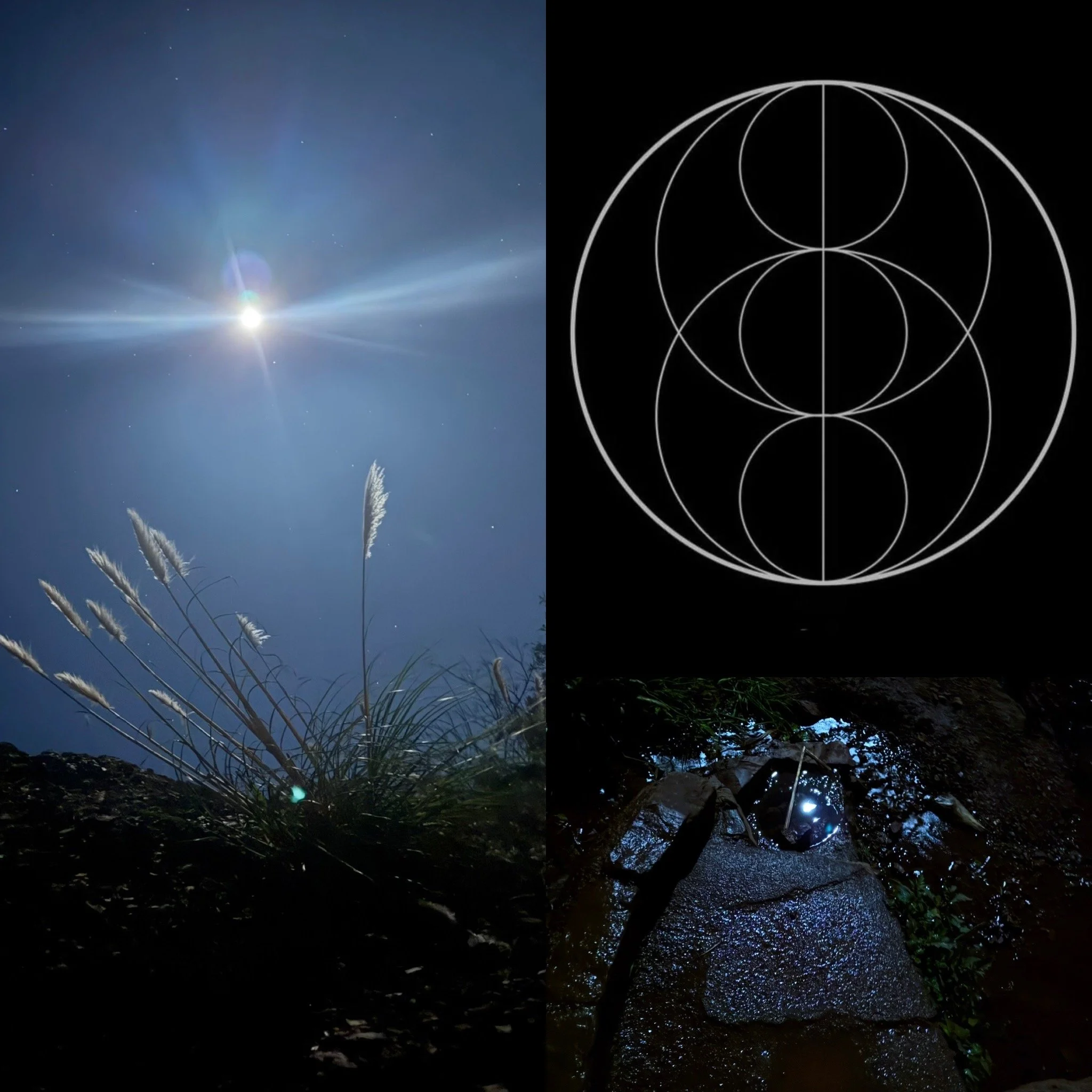 Lunar Mentorship