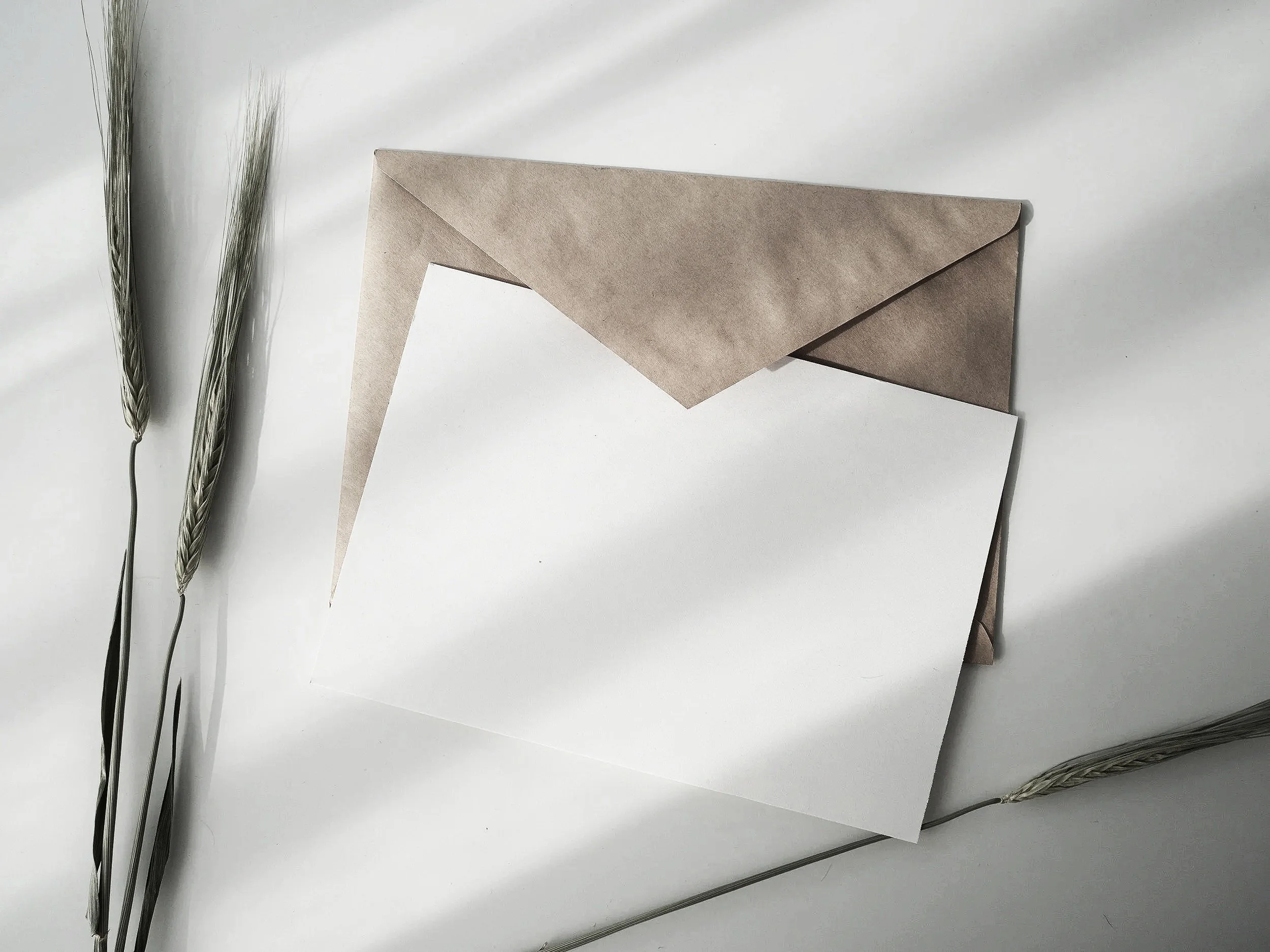 Several stalks of dried wheat and a sealed white envelope, a brown paper envelope, and some sheets of white paper on a white surface.