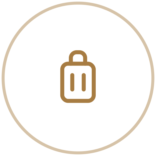 Icon of a shopping bag inside a circular border.
