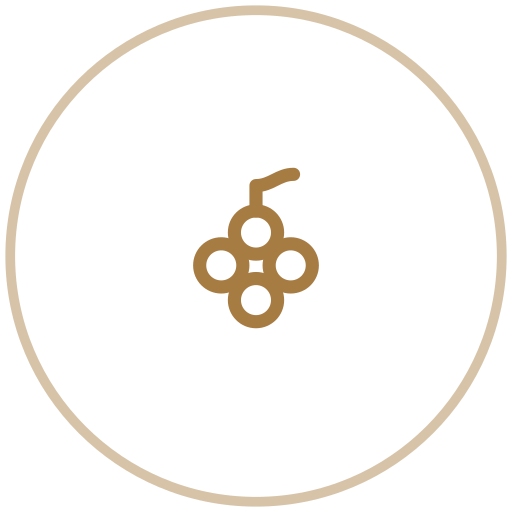 Icon of a matchstick and five stylized firework sparks inside a circle.