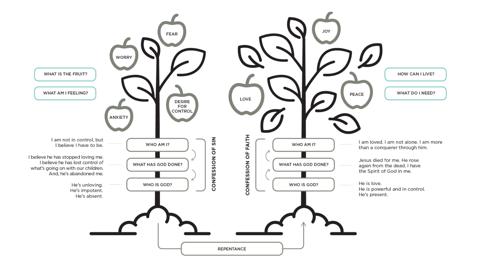 Fruit to Root Tool