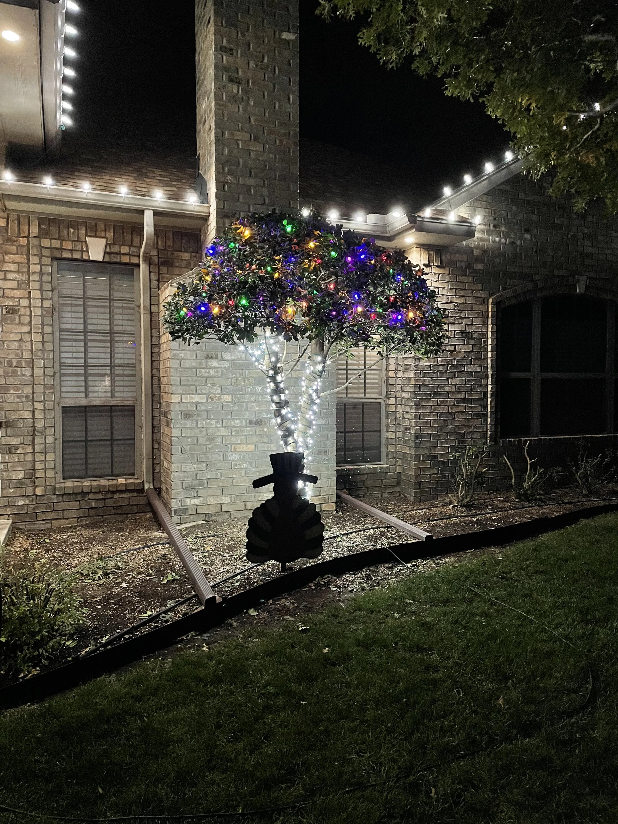 A house with outdoor Christmas lights, including a tree decorated with multicolored lights and a string of white lights along the roofline, illuminated at night.