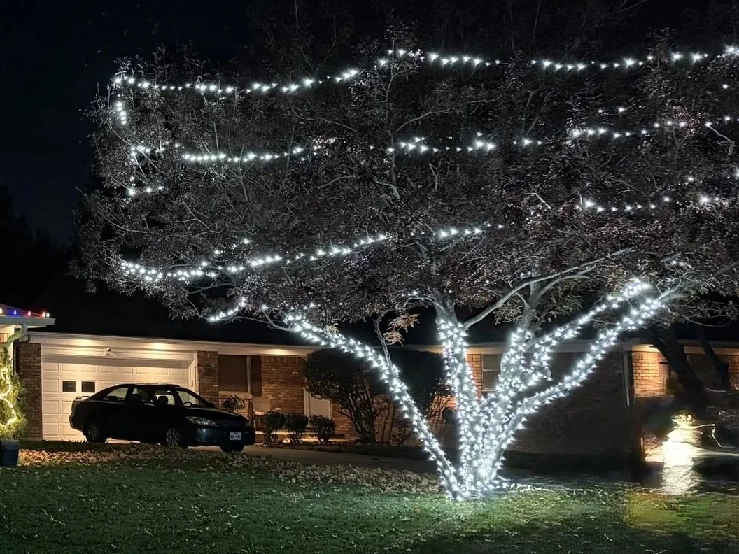 A tree decorated with white Christmas string lights at night, in a suburban neighborhood with a house and a parked car in the background.
