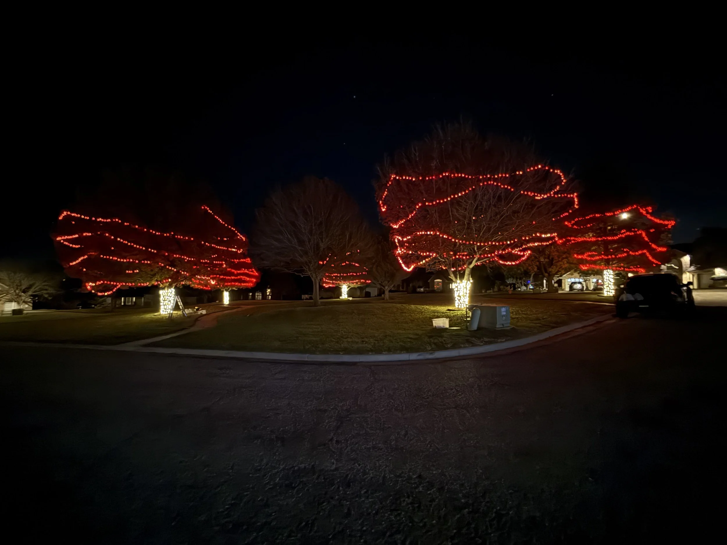 Night view of trees decorated with red string lights and wrapped in white lights, with parked cars and houses in the background.