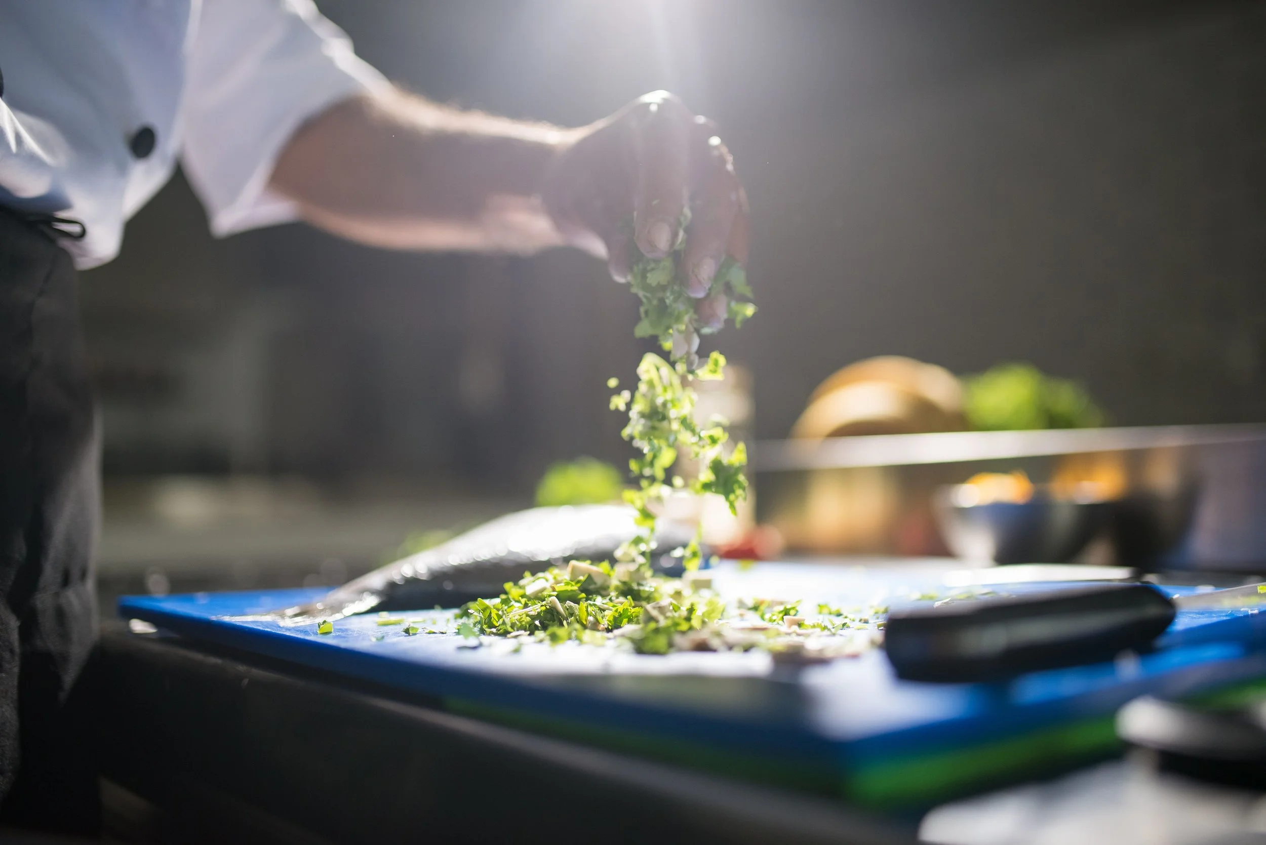 CaféLab: Rethinking Food Waste in Australian Cafés