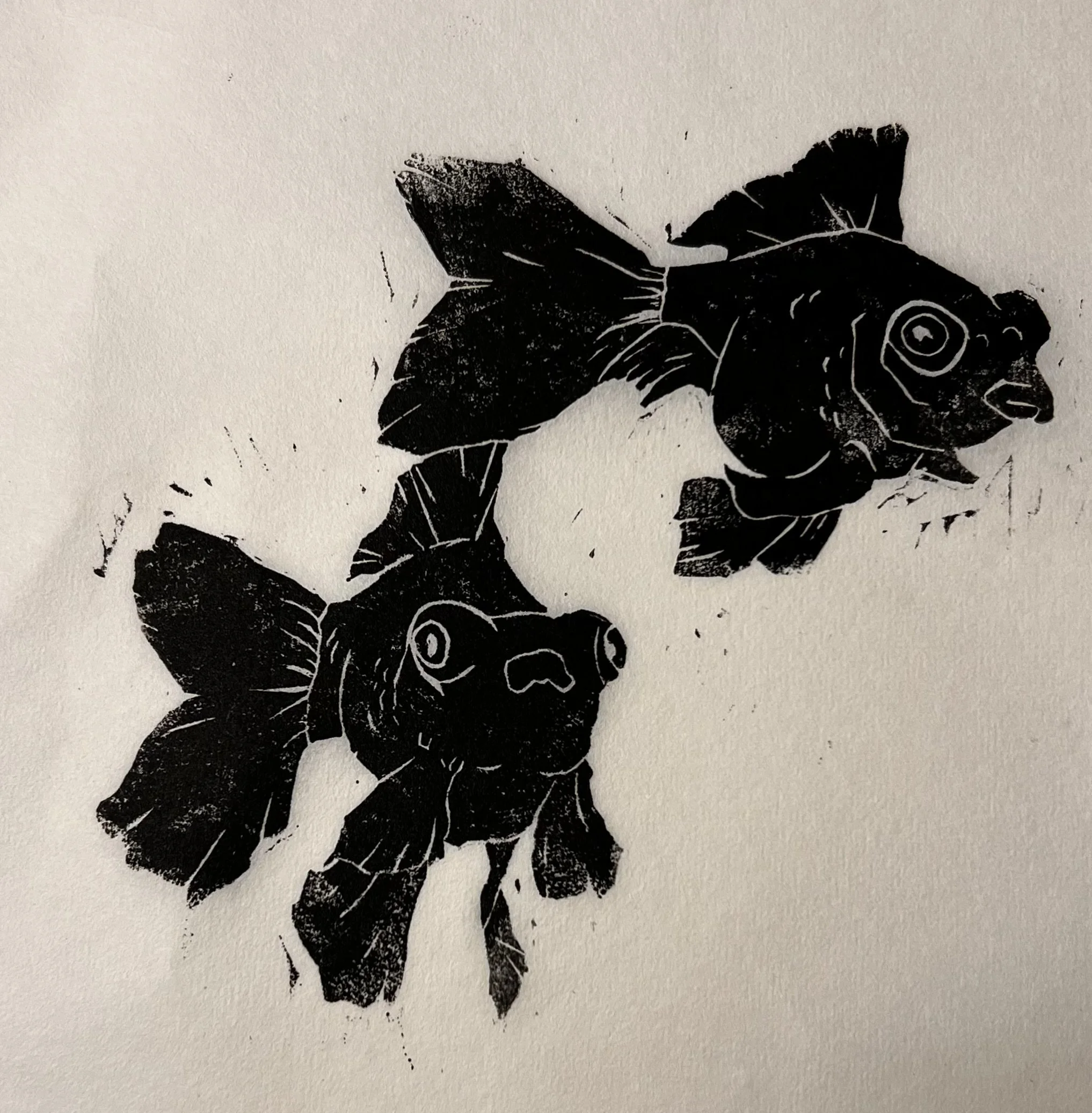 Check my shop!