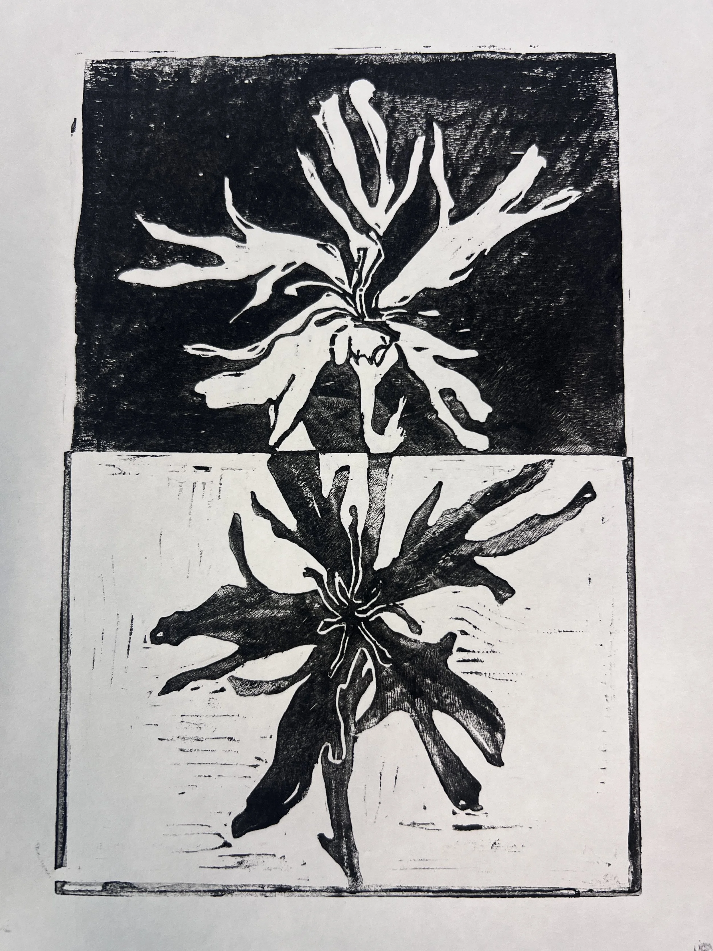 Check my shop!