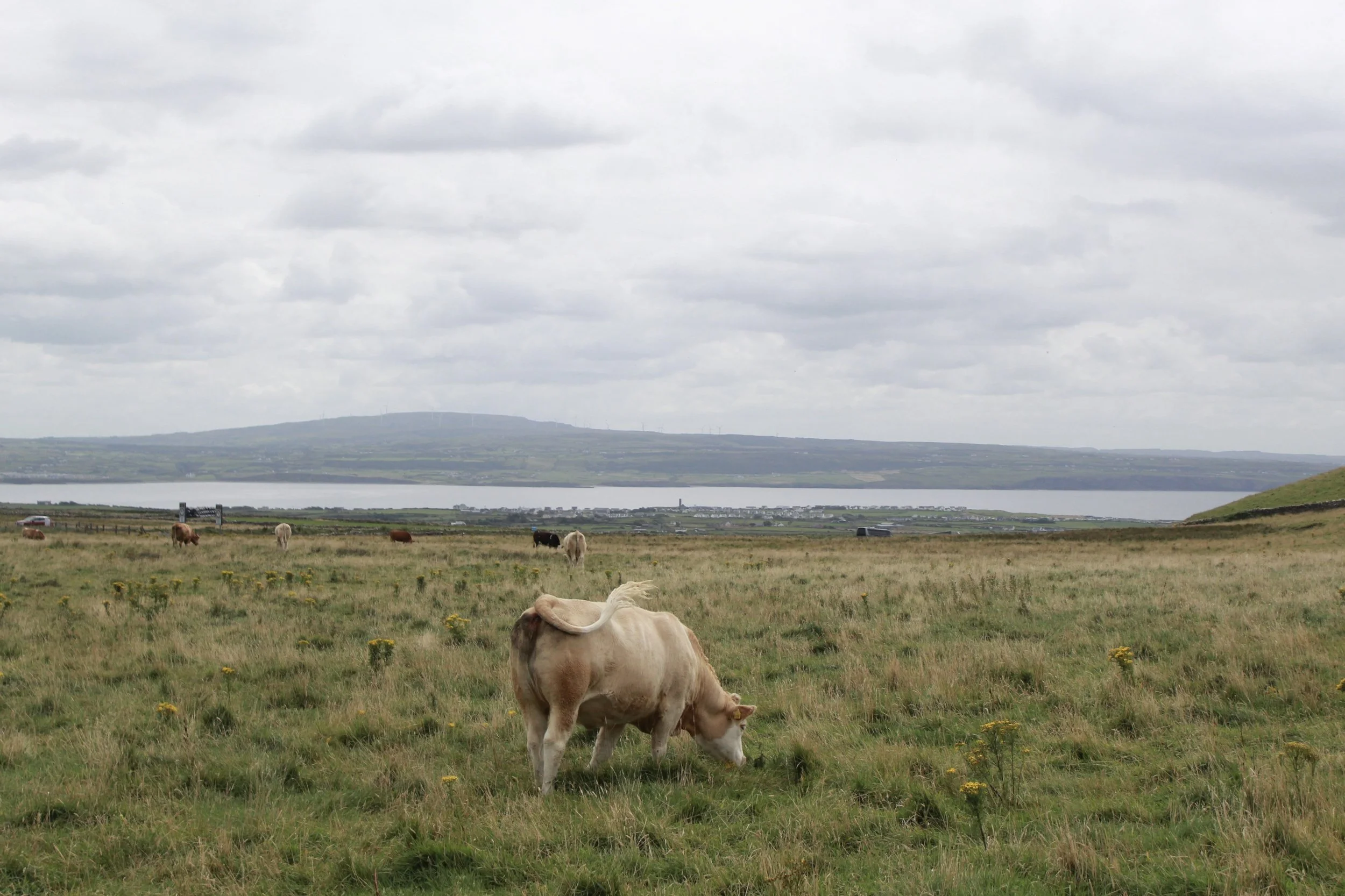 Ireland, 2019.