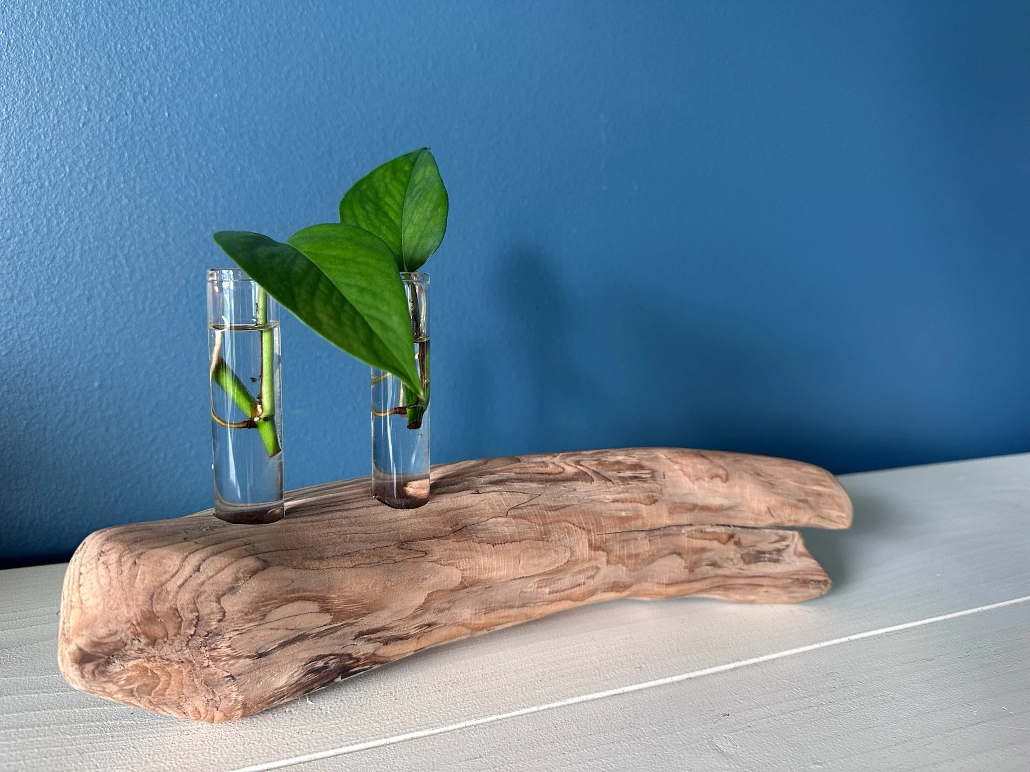 Two-Tube Driftwood Propagation Station + Bud Vase