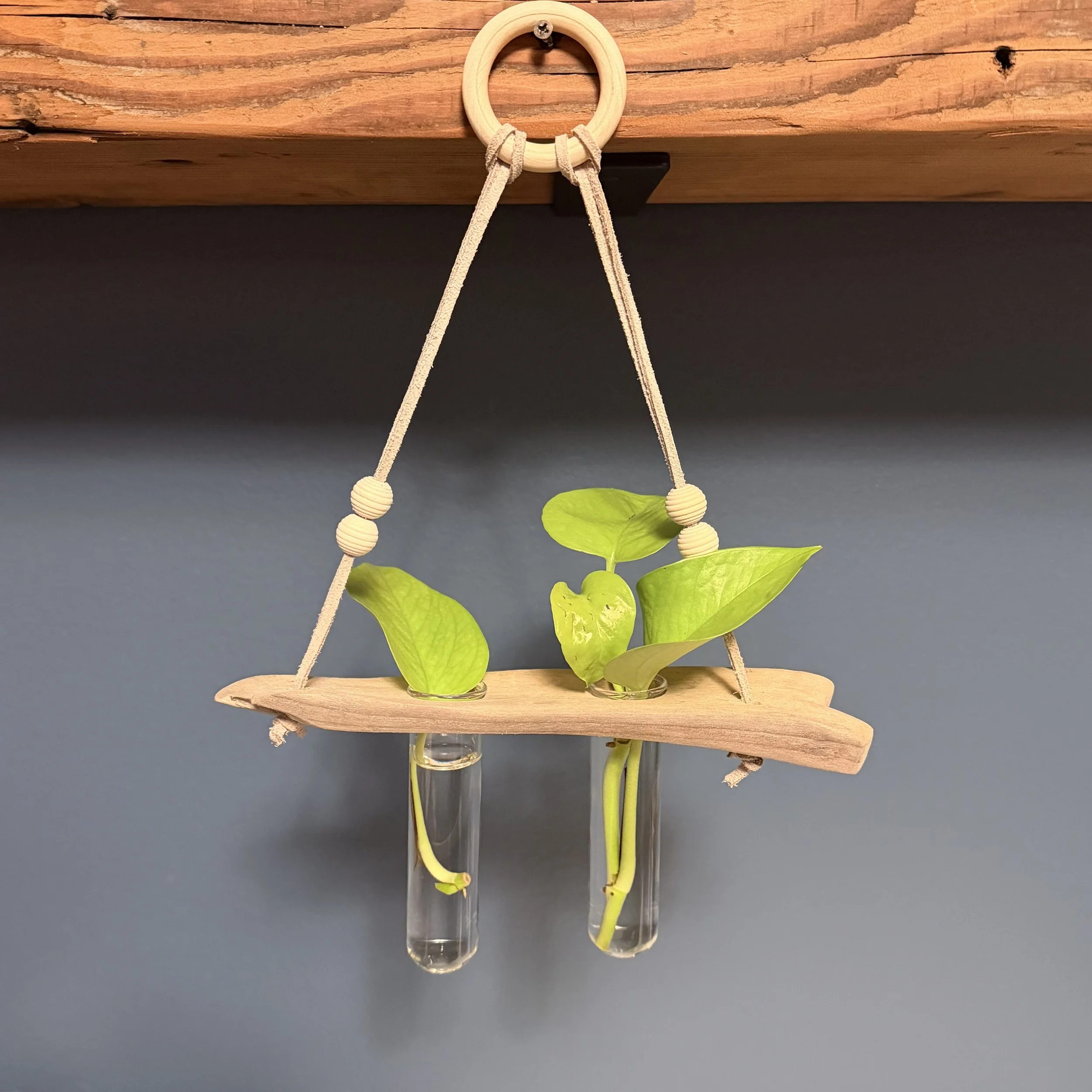 Two-Tube Hanging Driftwood Propagation Station + Bud Vase