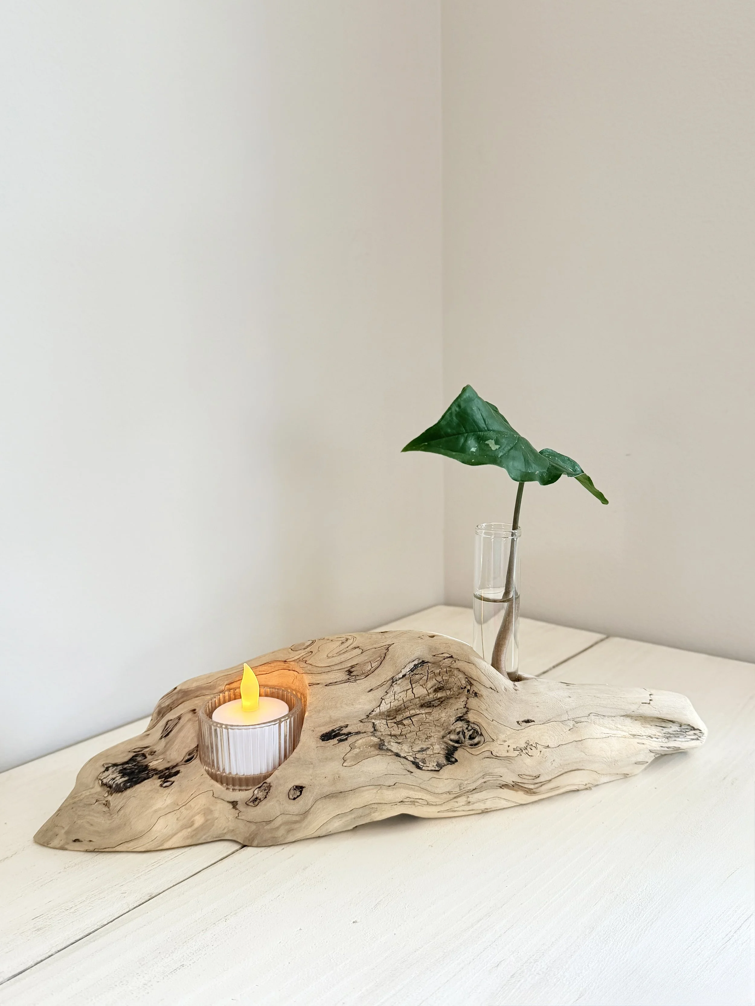 Driftwood Candle Holder + Bud Vase
