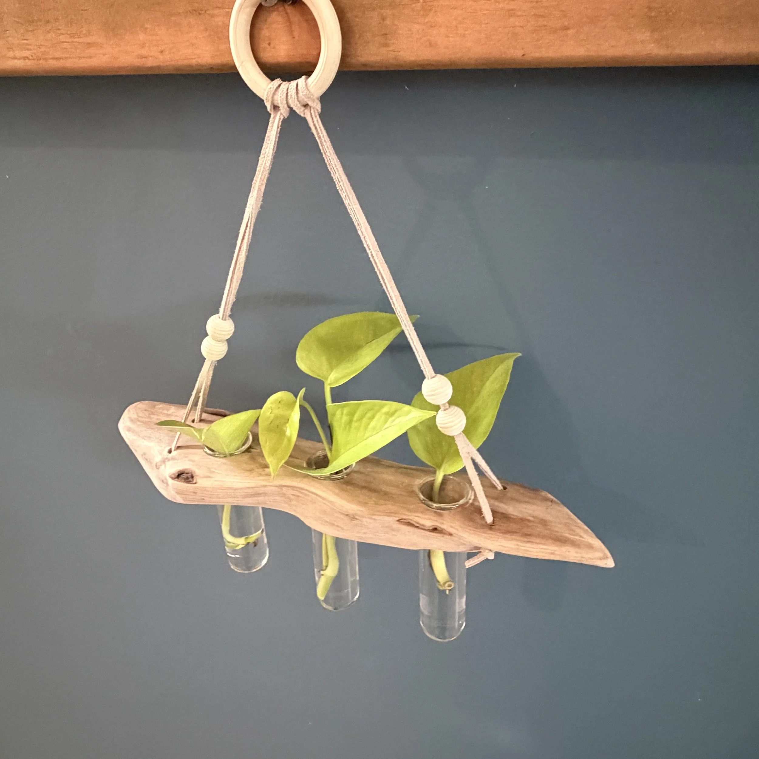 Three-Tube Hanging Driftwood Propagation Station + Bud Vase