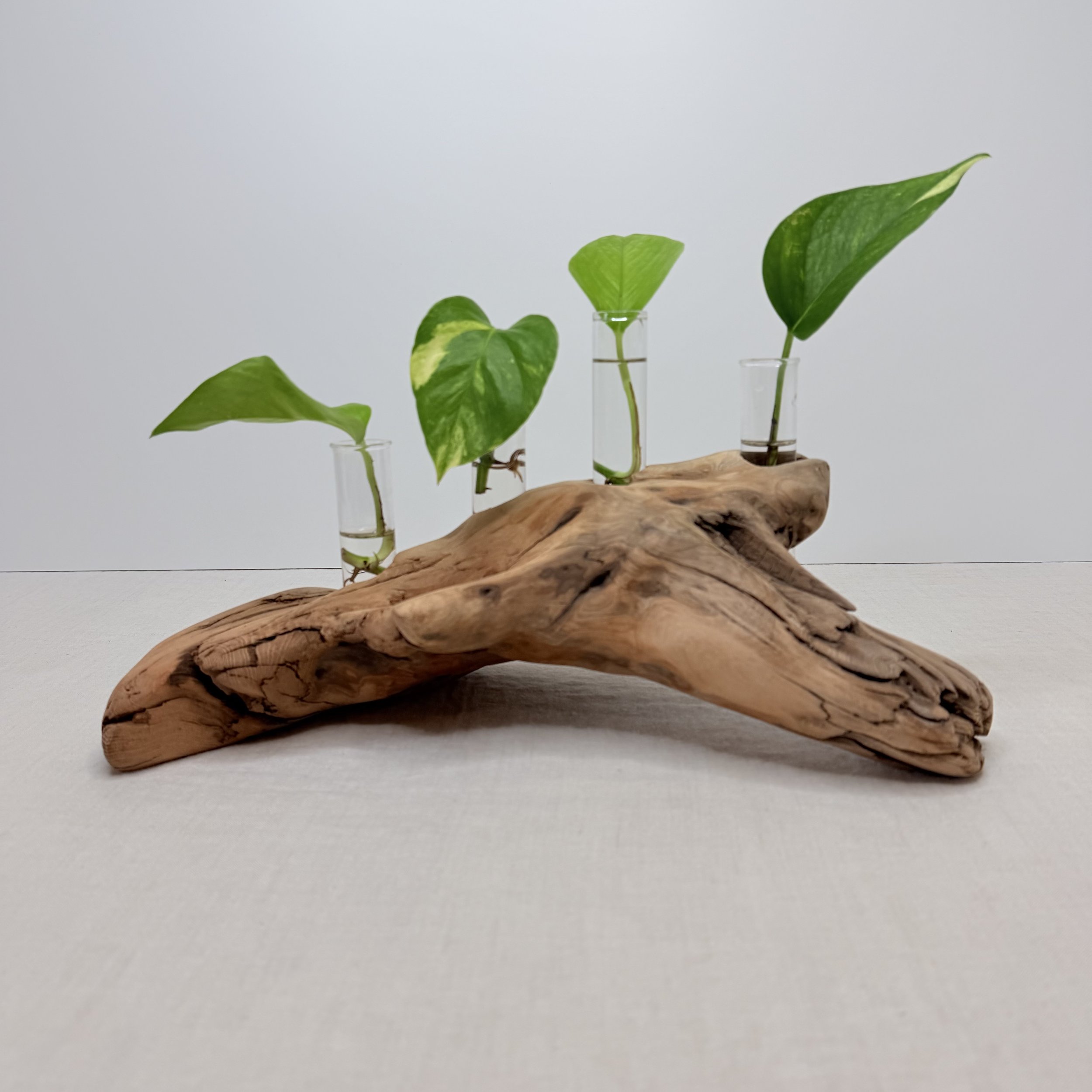 Four-Tube Tabletop Driftwood Propagation Station + Bud Vase