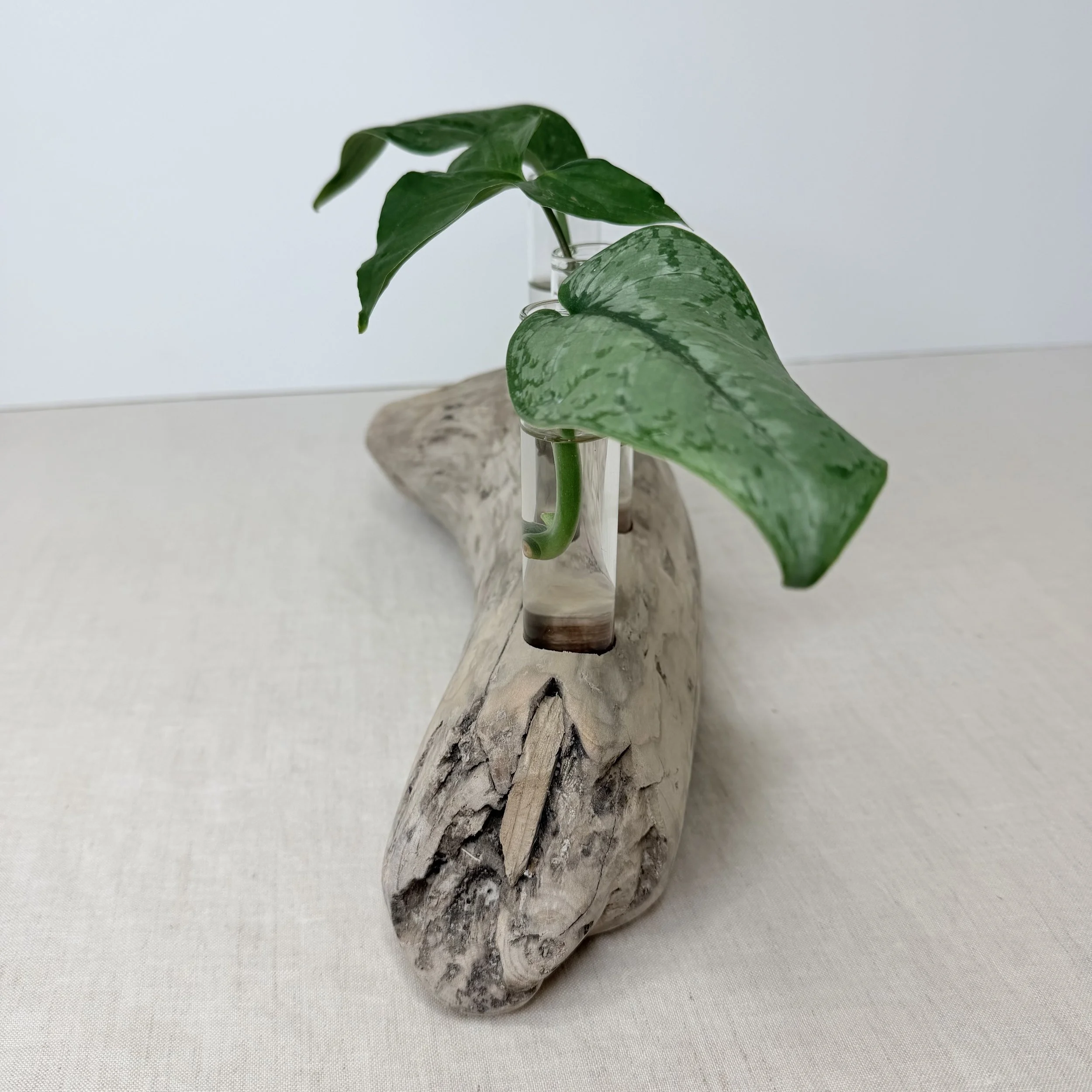 IMG_0839.jpeg