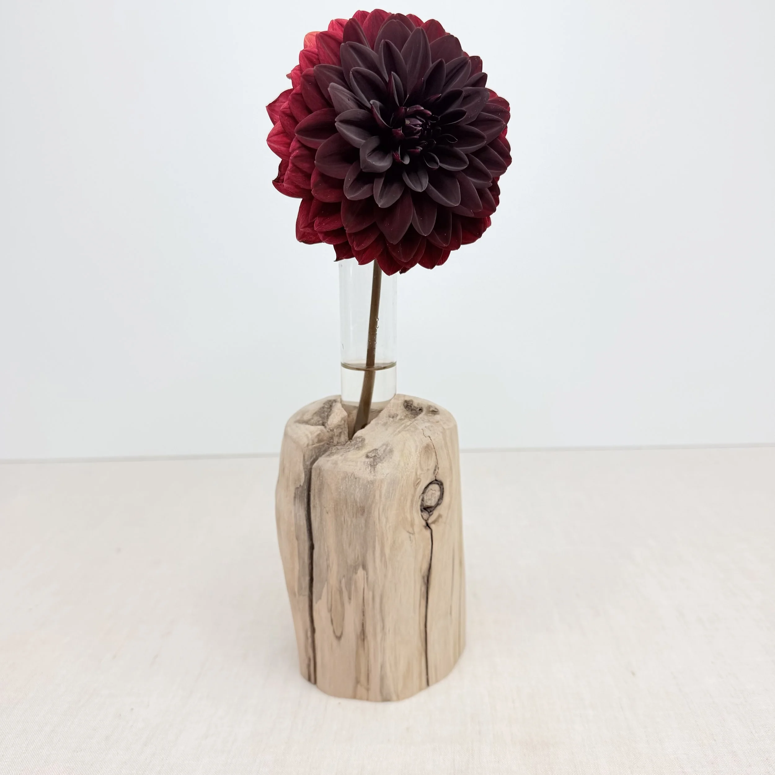 Single-Tube Tabletop Driftwood Propagation Station + Bud Vase