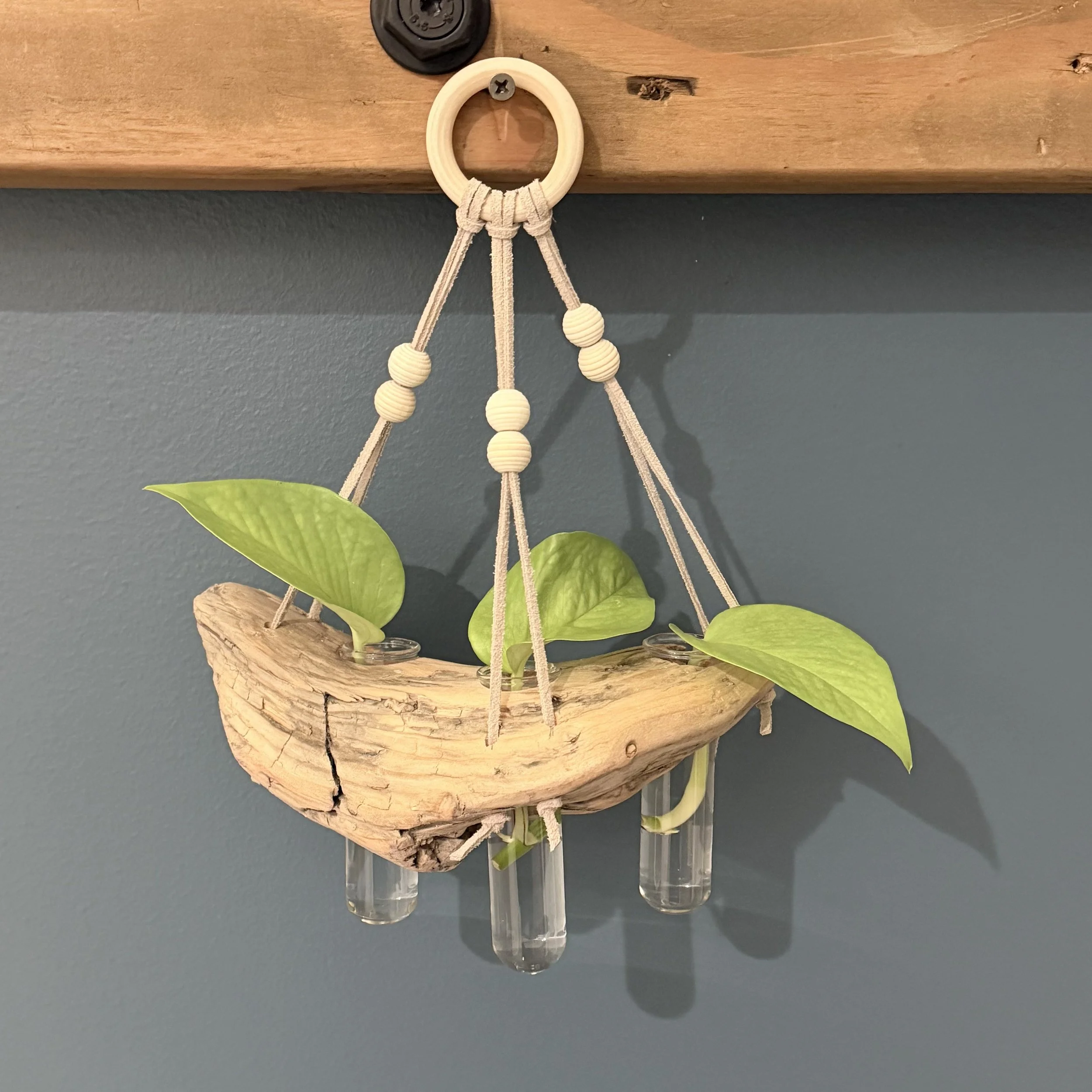 Three-Vial Hanging Driftwood Propagation Station + Bud Vase