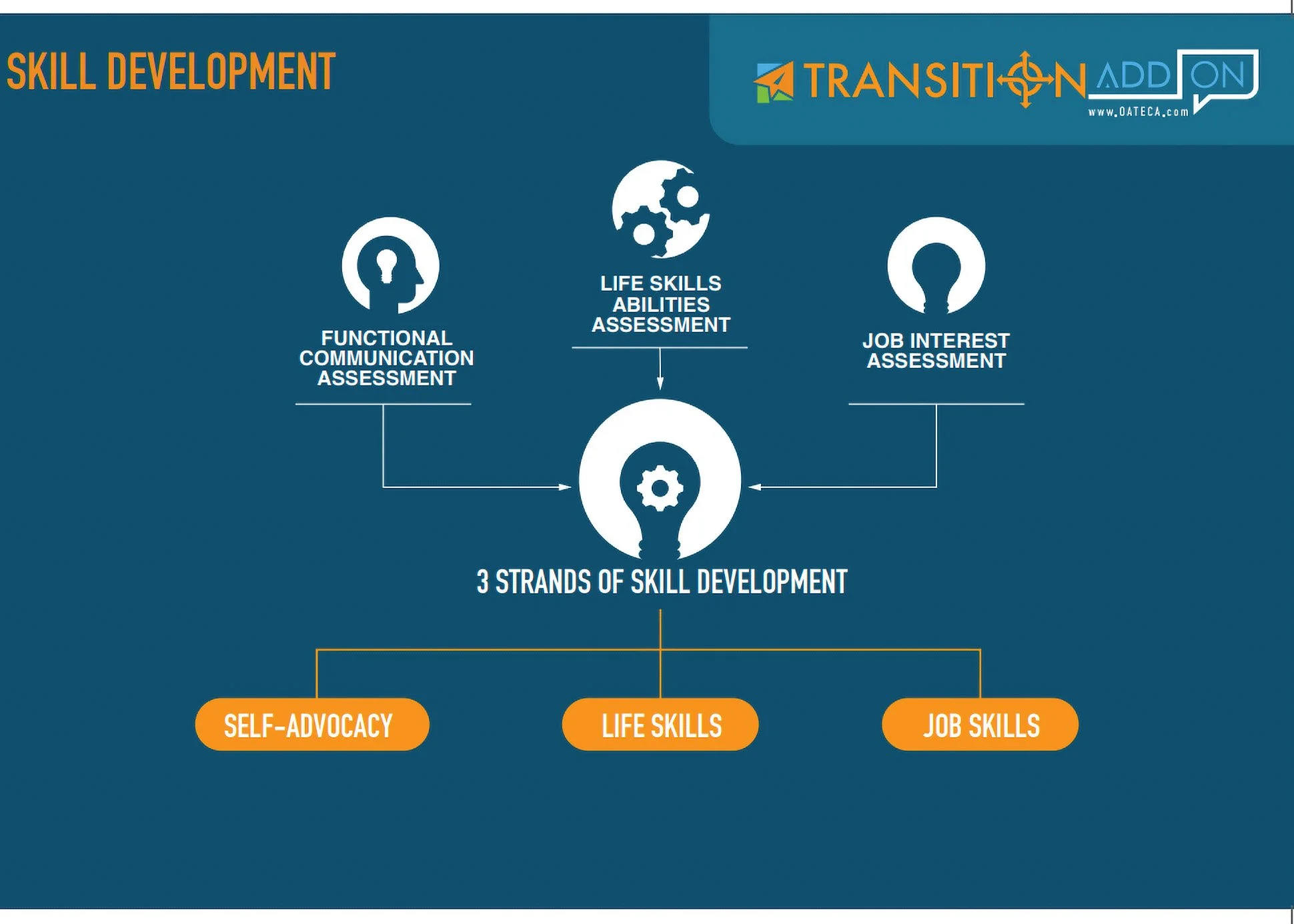 Flowchart illustrating three strands of skill development: self-advocacy, life skills, and job skills, with assessments for functional communication, life skills abilities, and job interest.