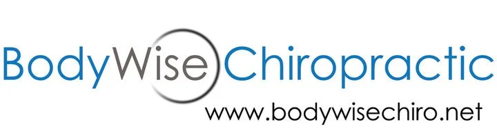 Logo for BodyWise Chiropractic with the website URL www.bodywisechiro.net