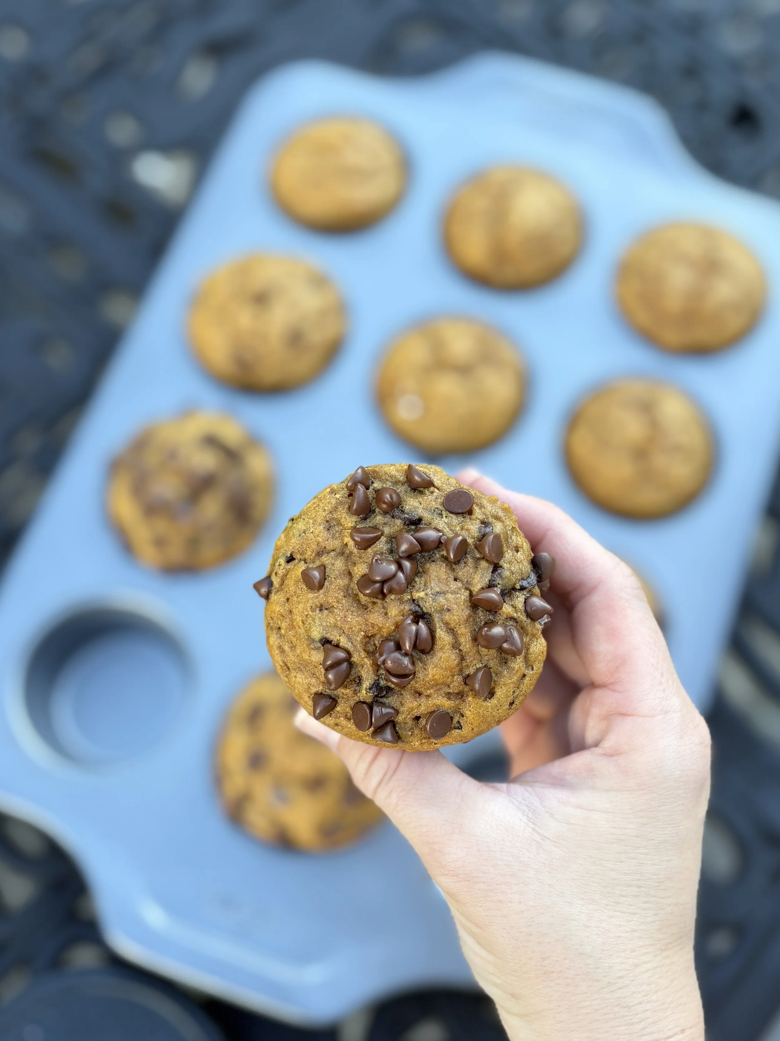 Maple-sweetened pumpkin chocolate chip muffins