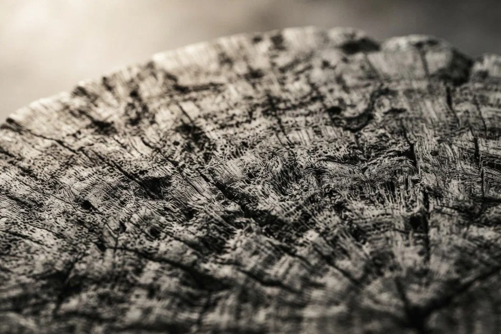 A close-up of a weathered, cracked piece of wood or stone with a textured surface.