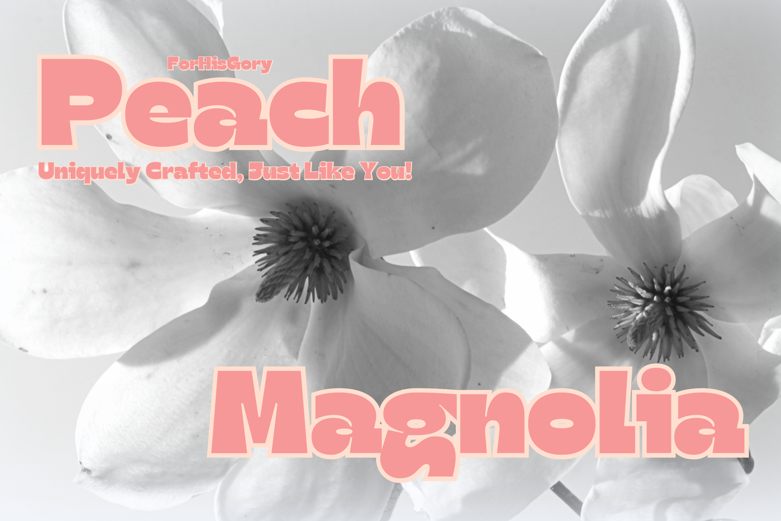 Peach Magnolia