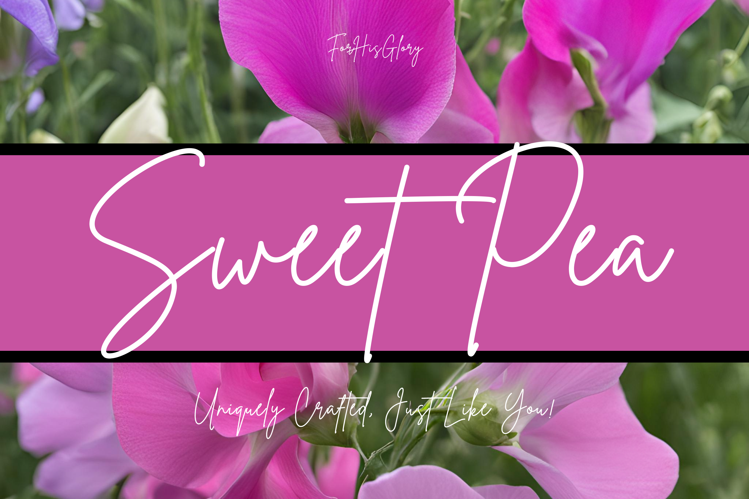 Sweet Pea