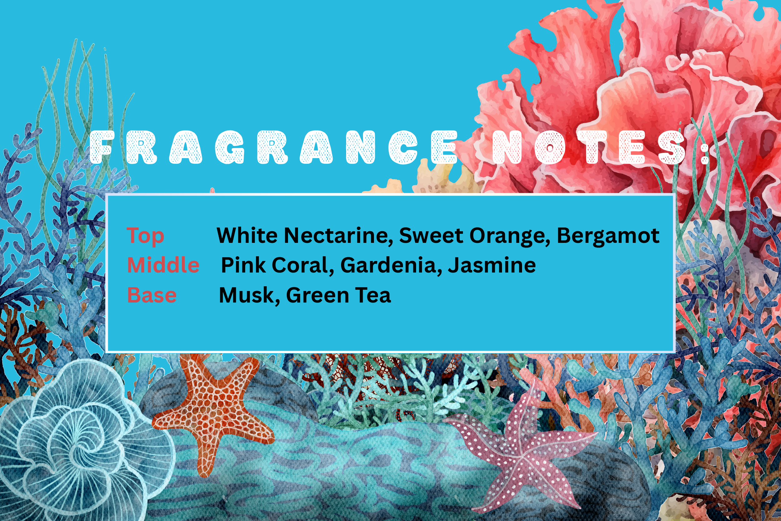 Coral Reef.png