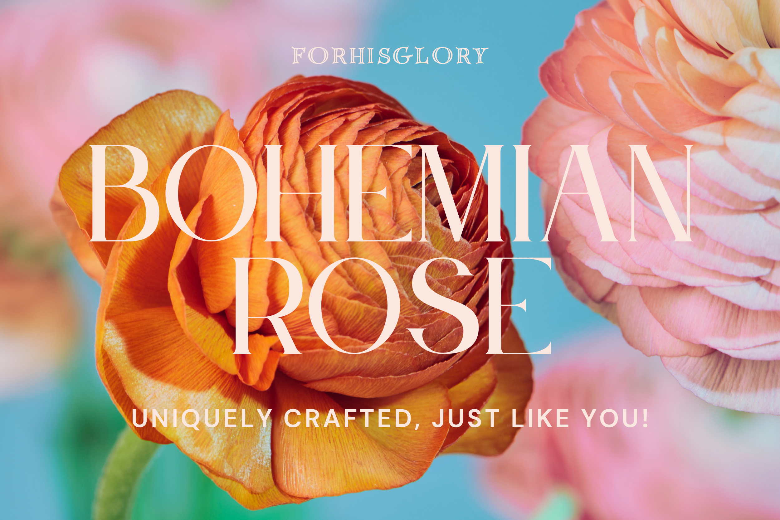 Bohemian Rose