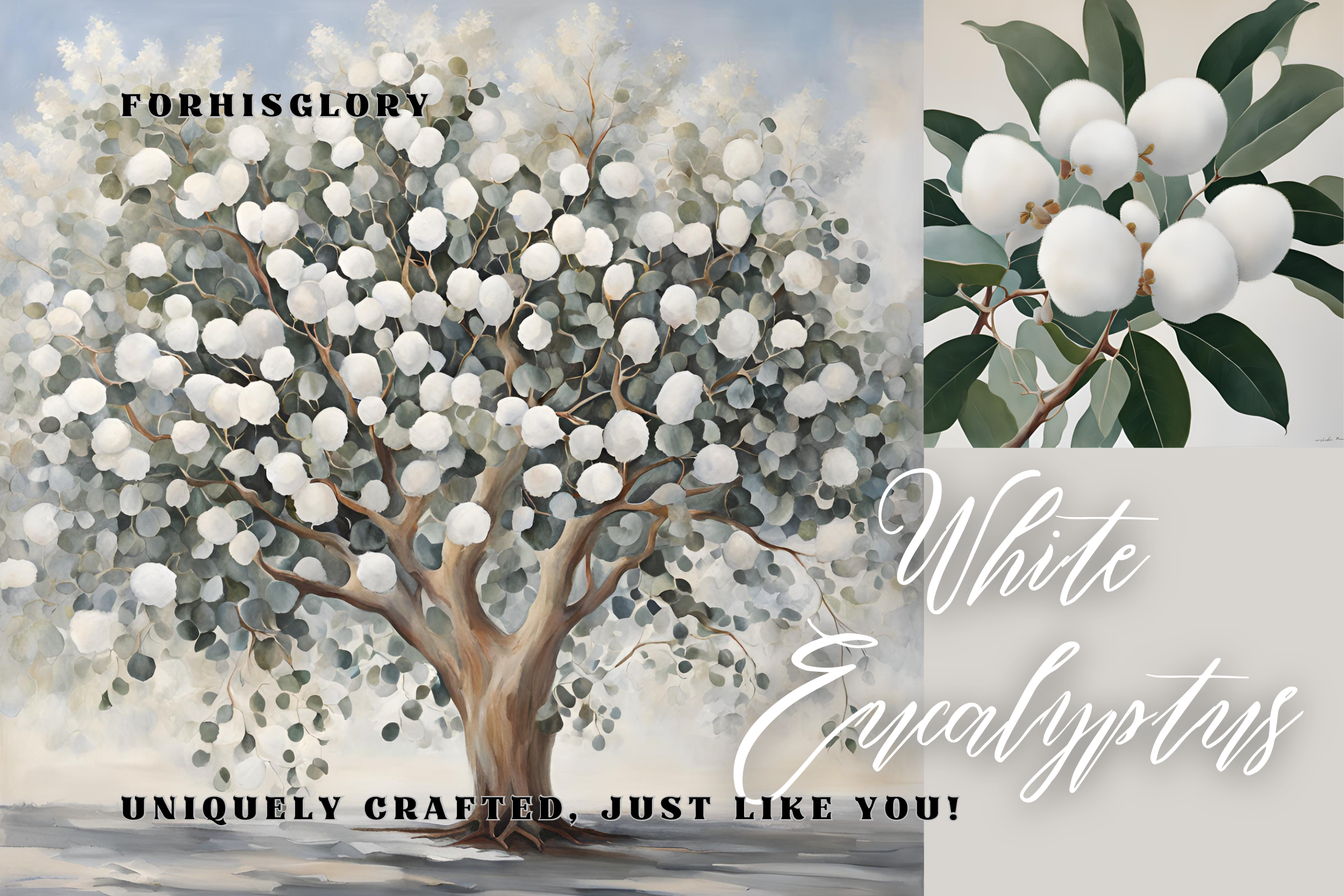 White Eucalyptus