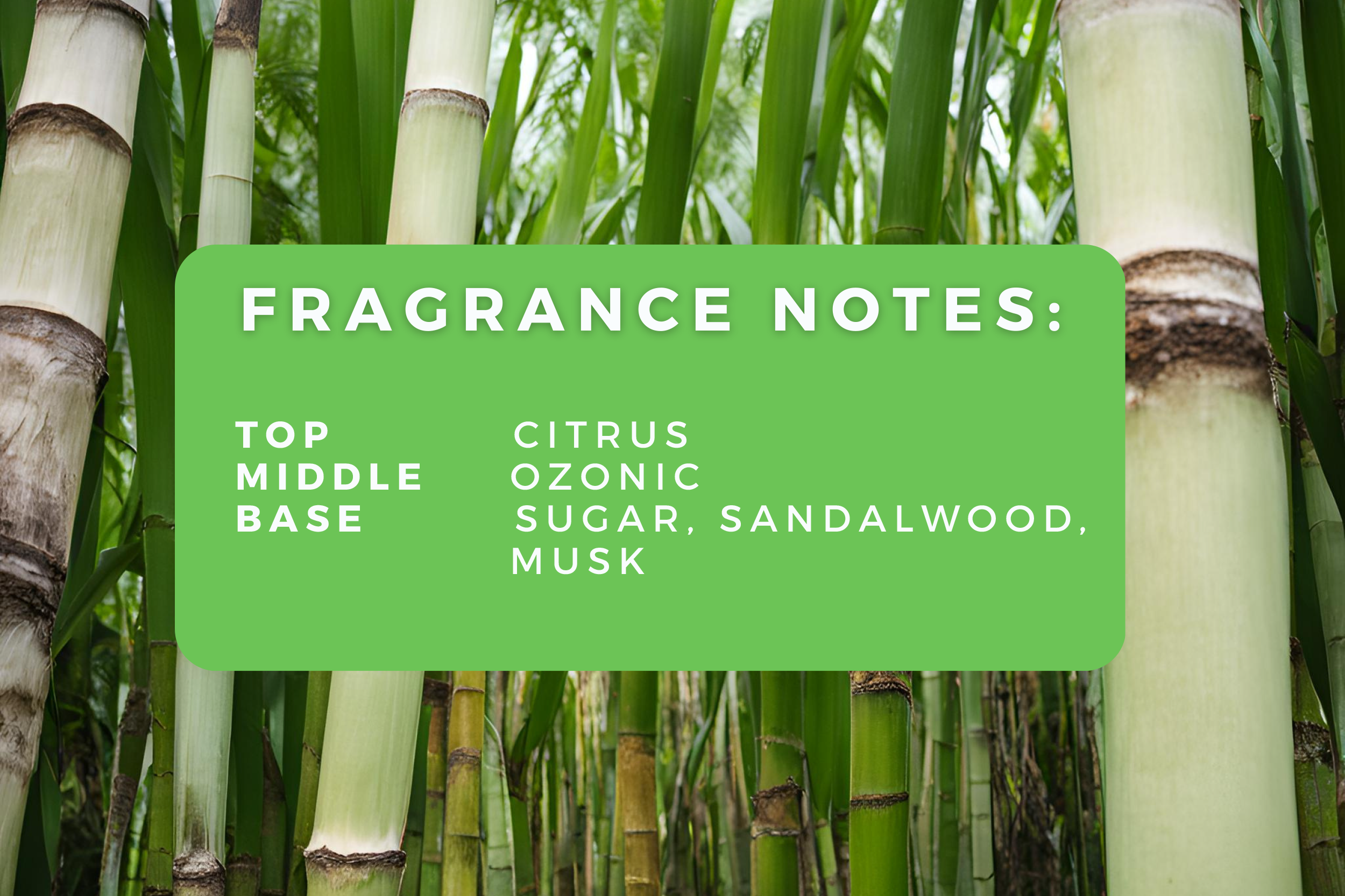 Rainforest Sugarcane.png