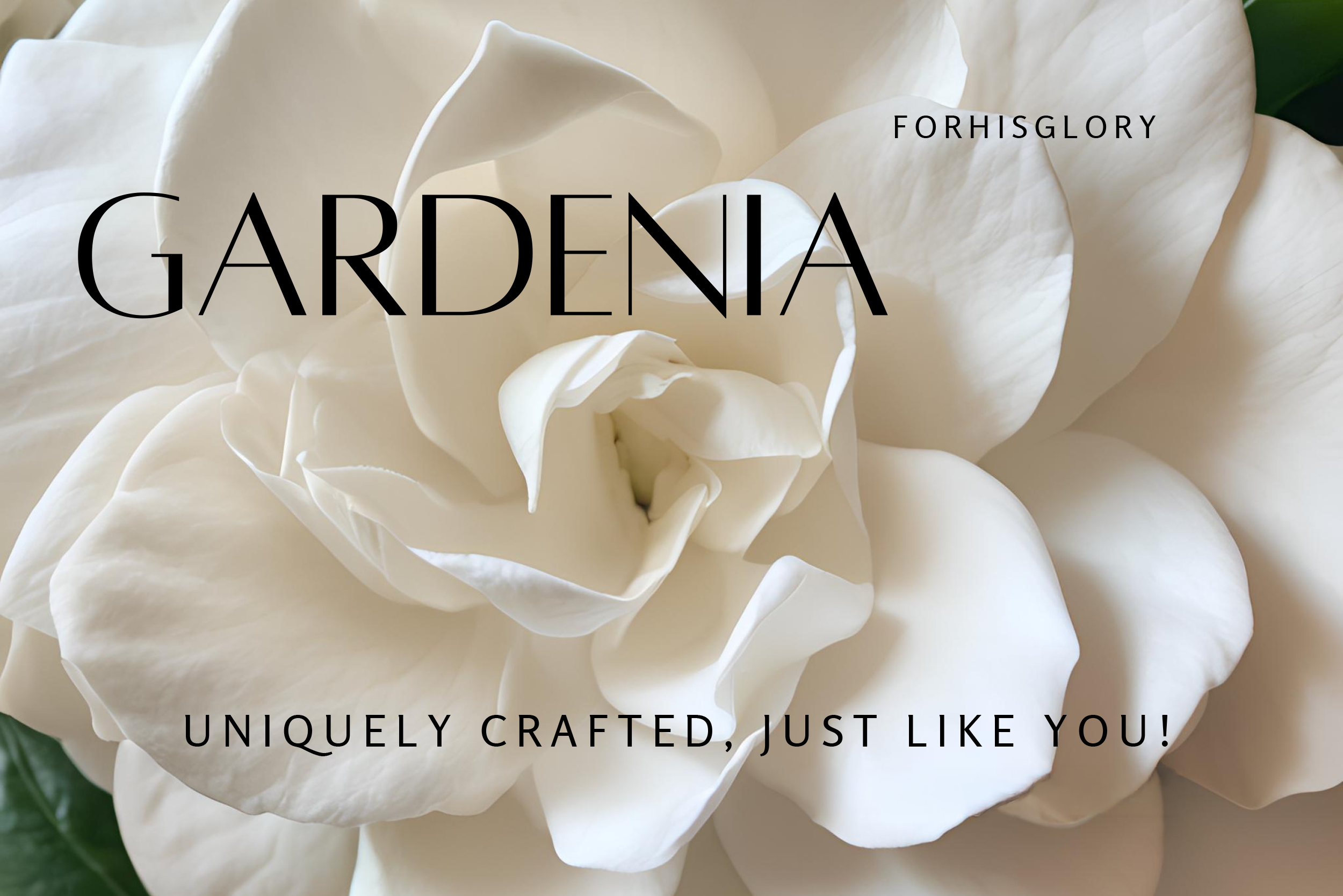 Gardenia