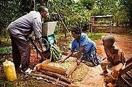 Two children and a man working together on a gardening project outdoors, with a wooden fence in the background.